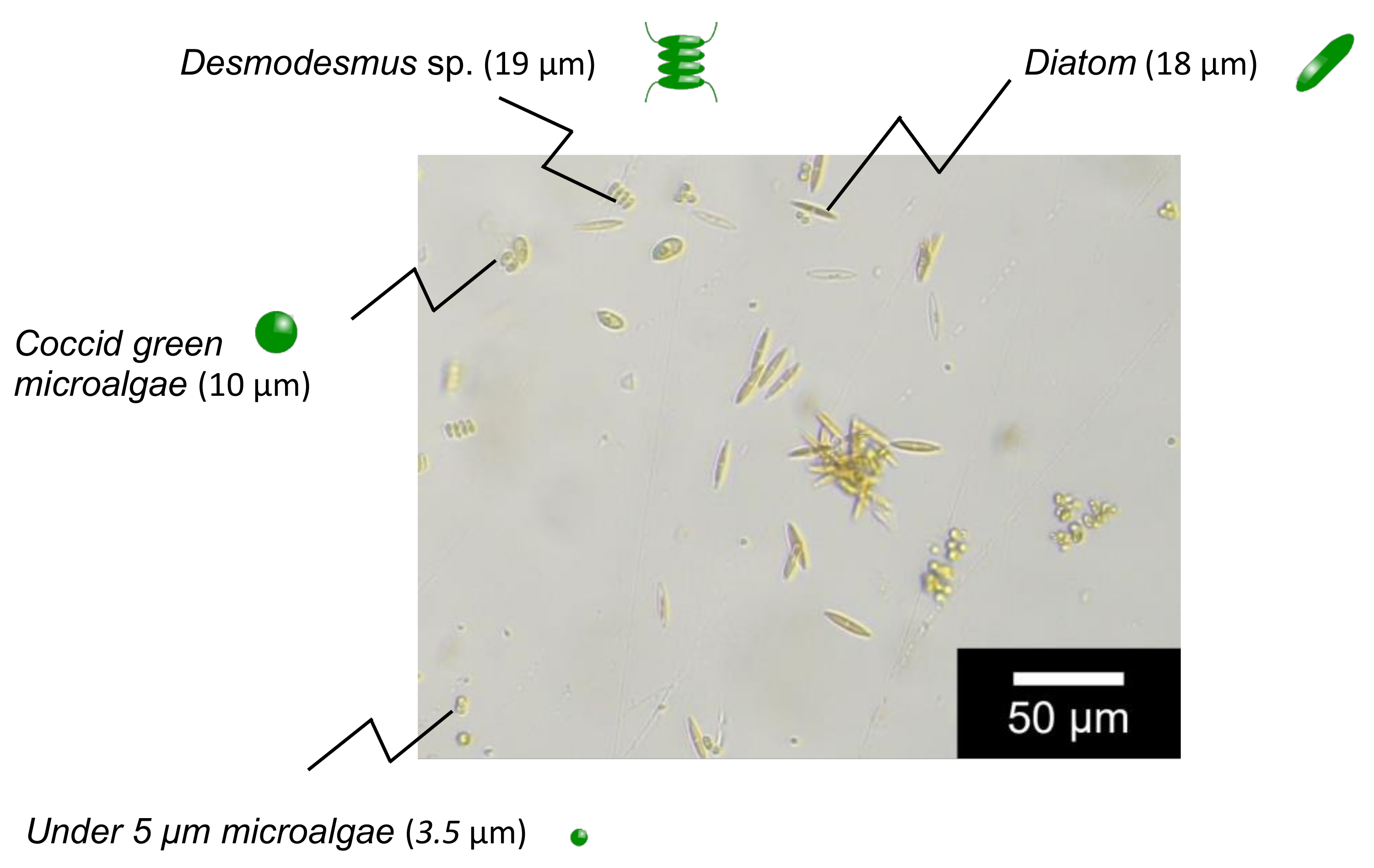 Separations 09 00120 g002