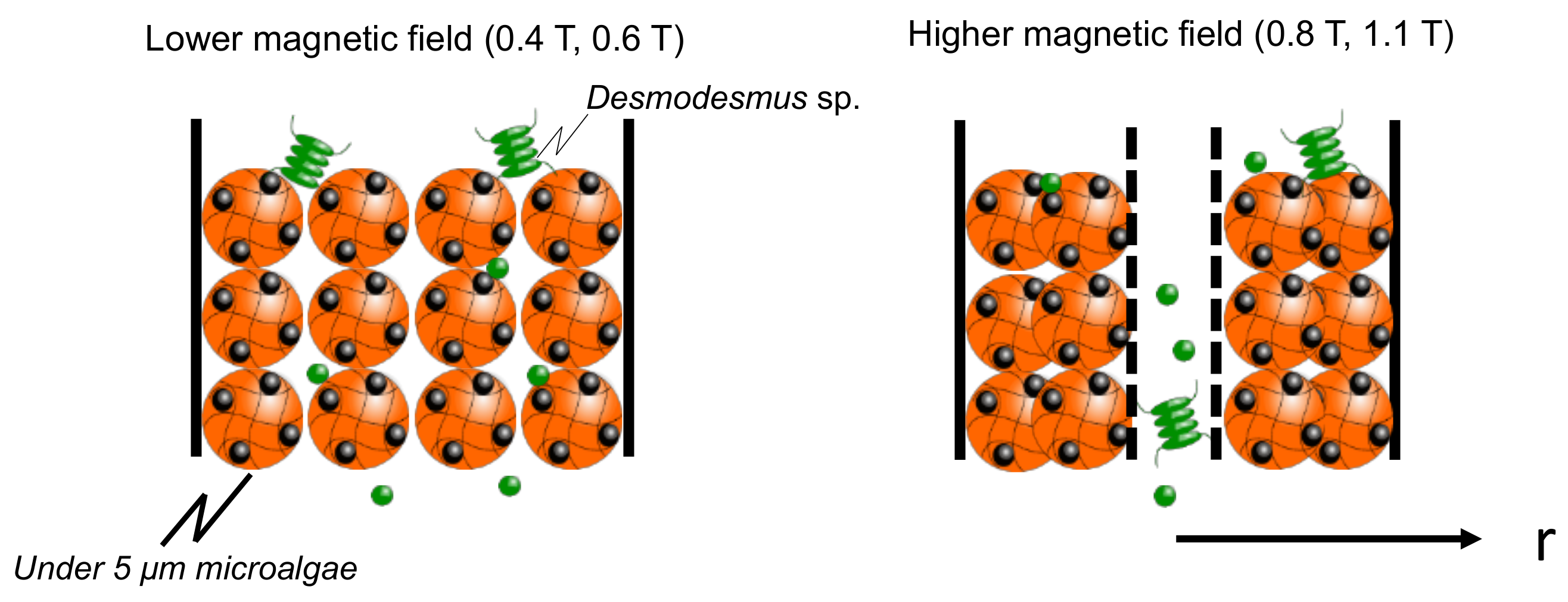 Separations 09 00120 g007