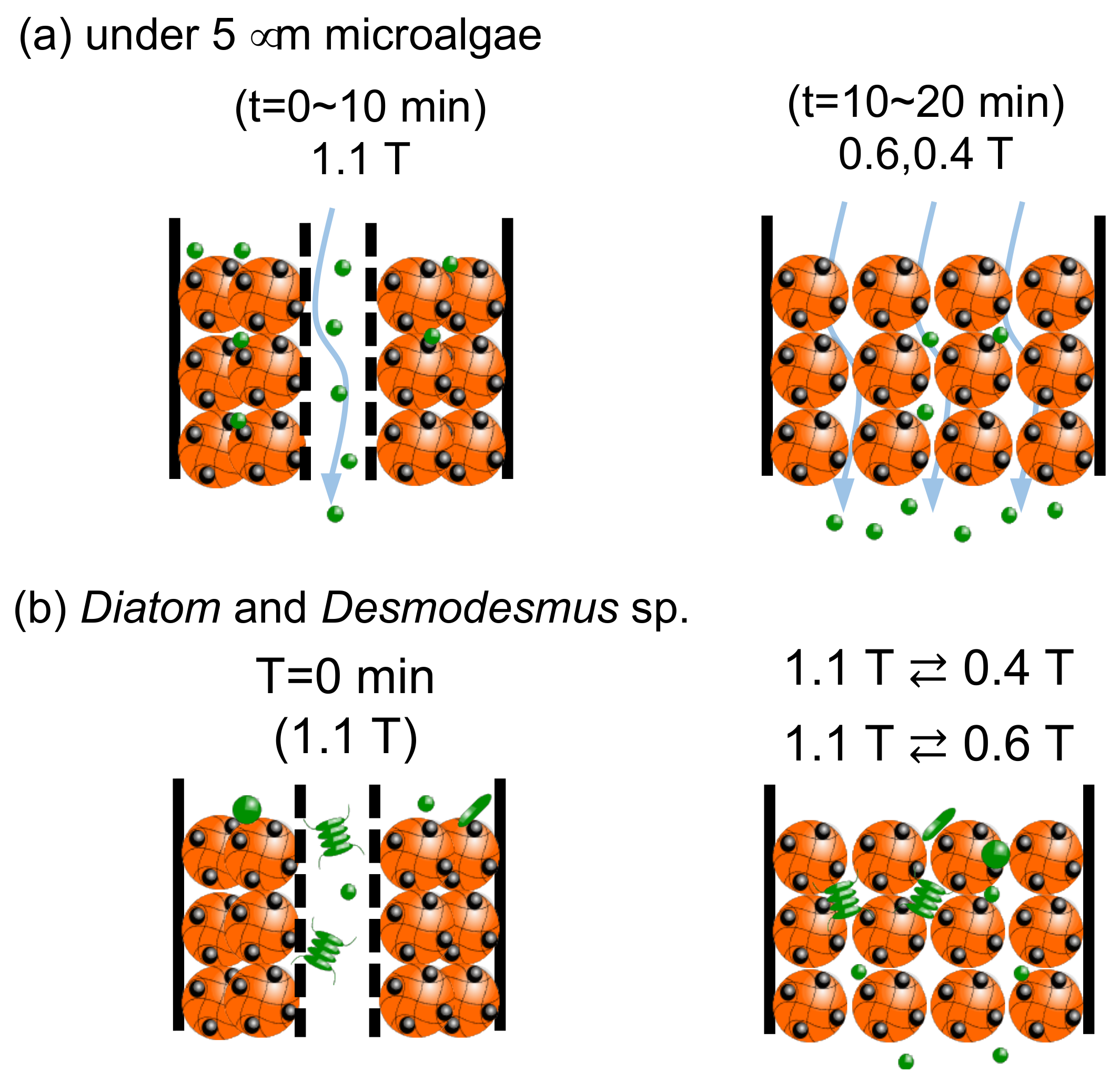 Separations 09 00120 g011