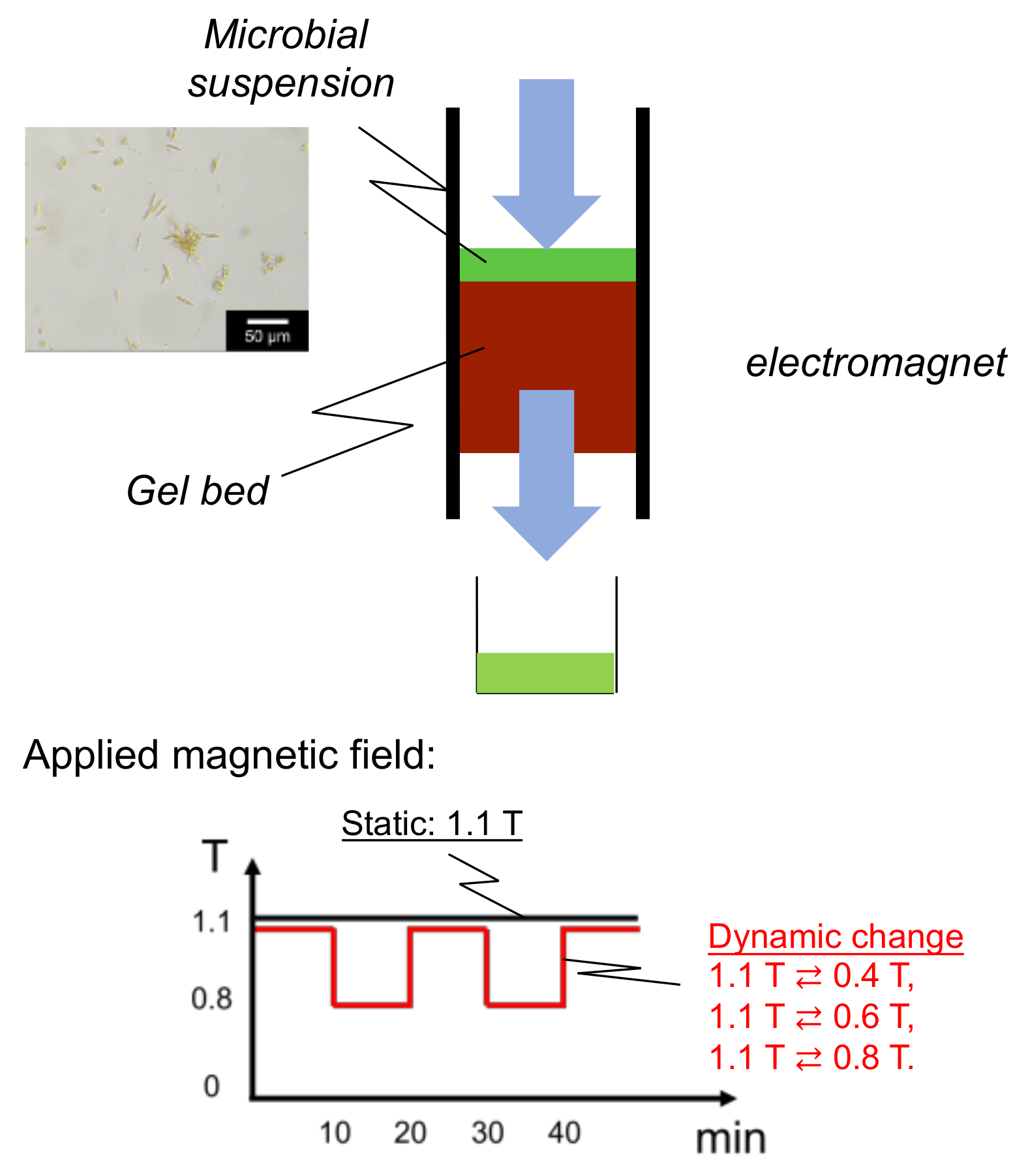 Separations 09 00120 g0a1