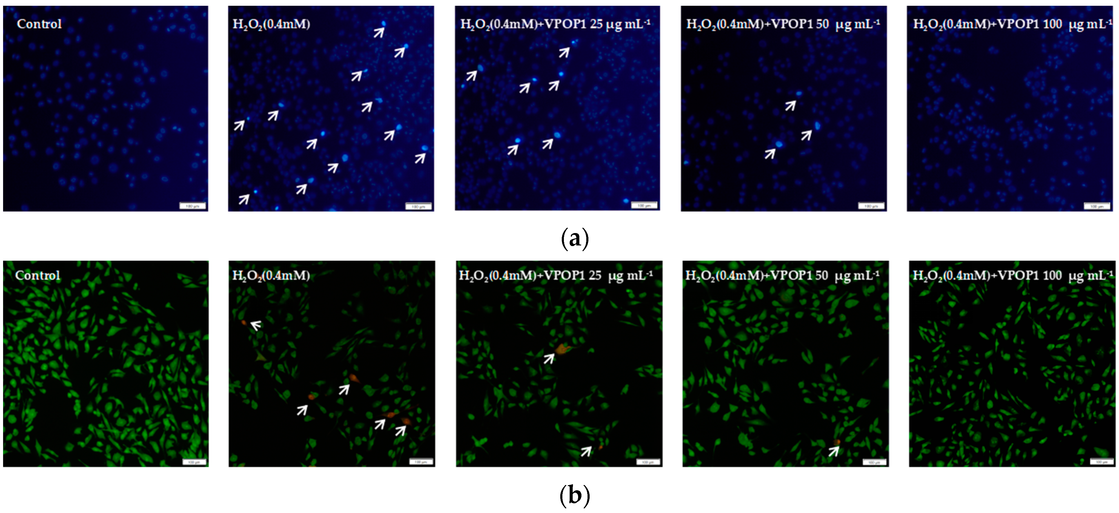 Separations 09 00128 g002a