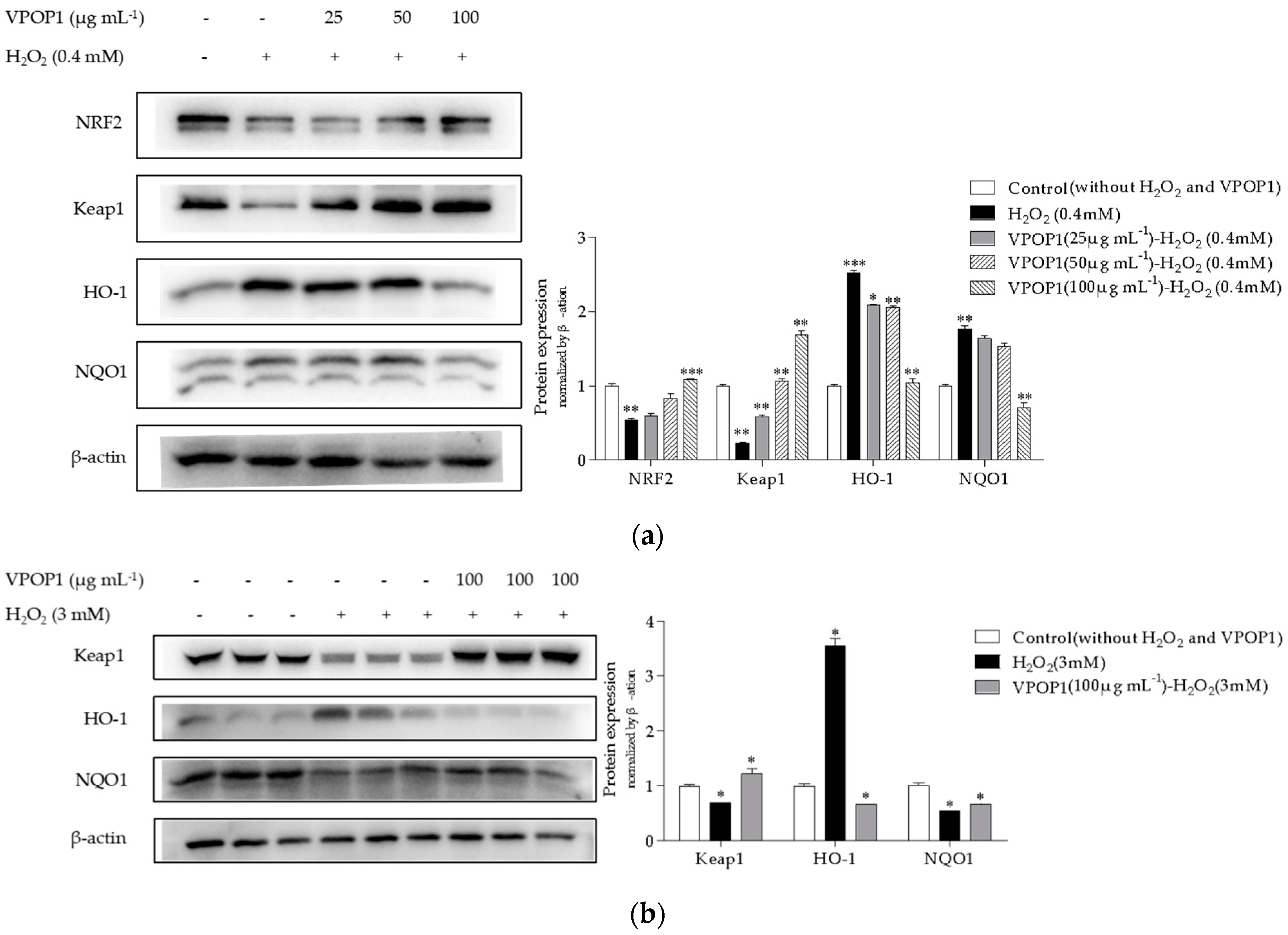 Separations 09 00128 g003