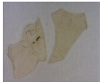 Separations 09 00131 i004 Separations 09 00131 i004