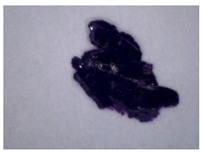 Separations 09 00131 i006 Separations 09 00131 i006