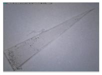 Separations 09 00131 i008 Separations 09 00131 i008