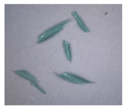 Separations 09 00131 i017 Separations 09 00131 i017