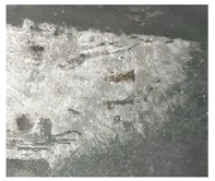 Separations 09 00131 i019 Separations 09 00131 i019