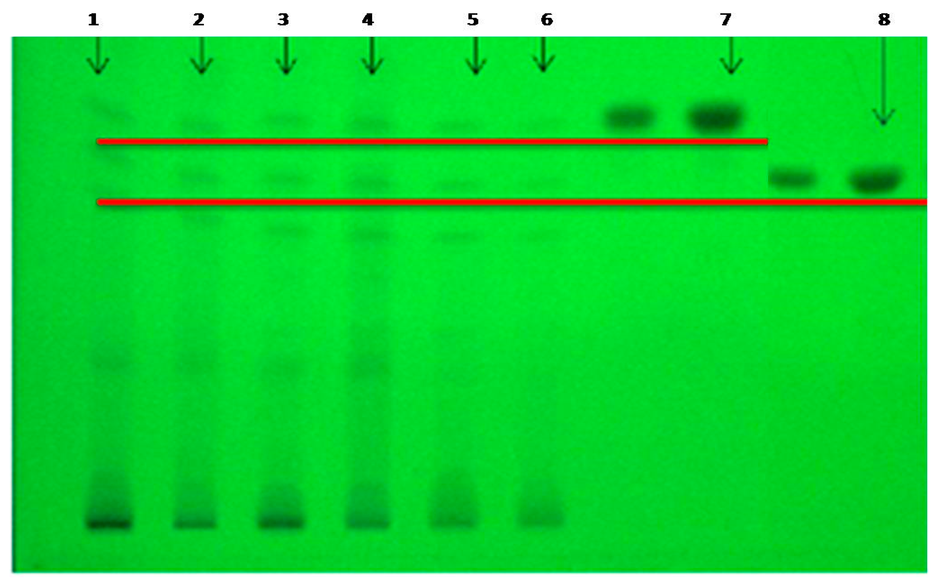 Separations 09 00152 g003