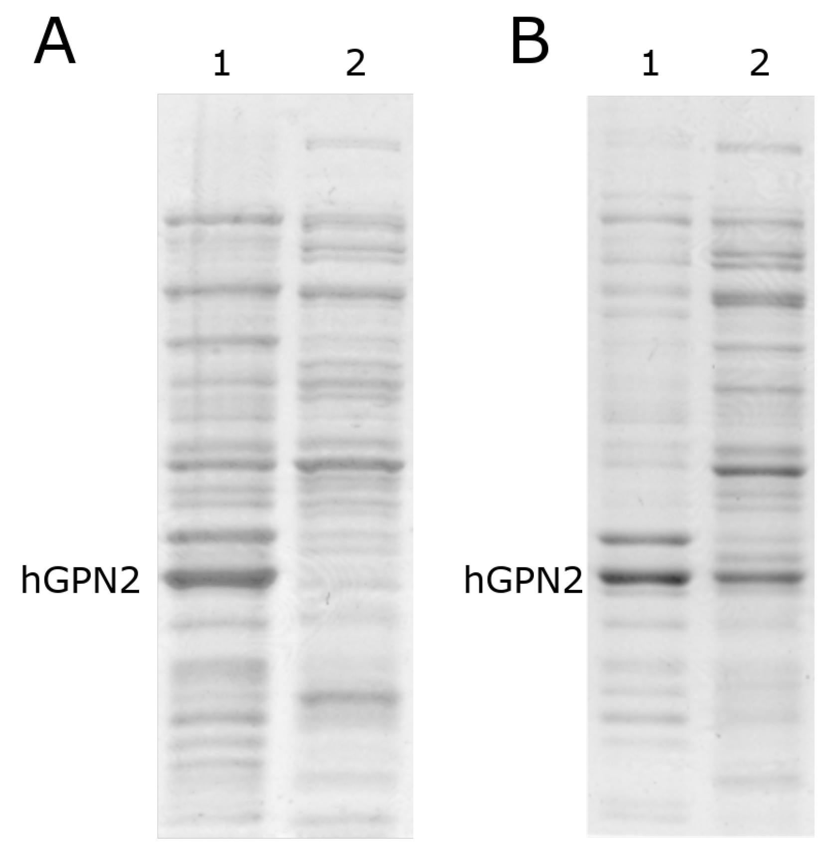 Separations 09 00164 g003
