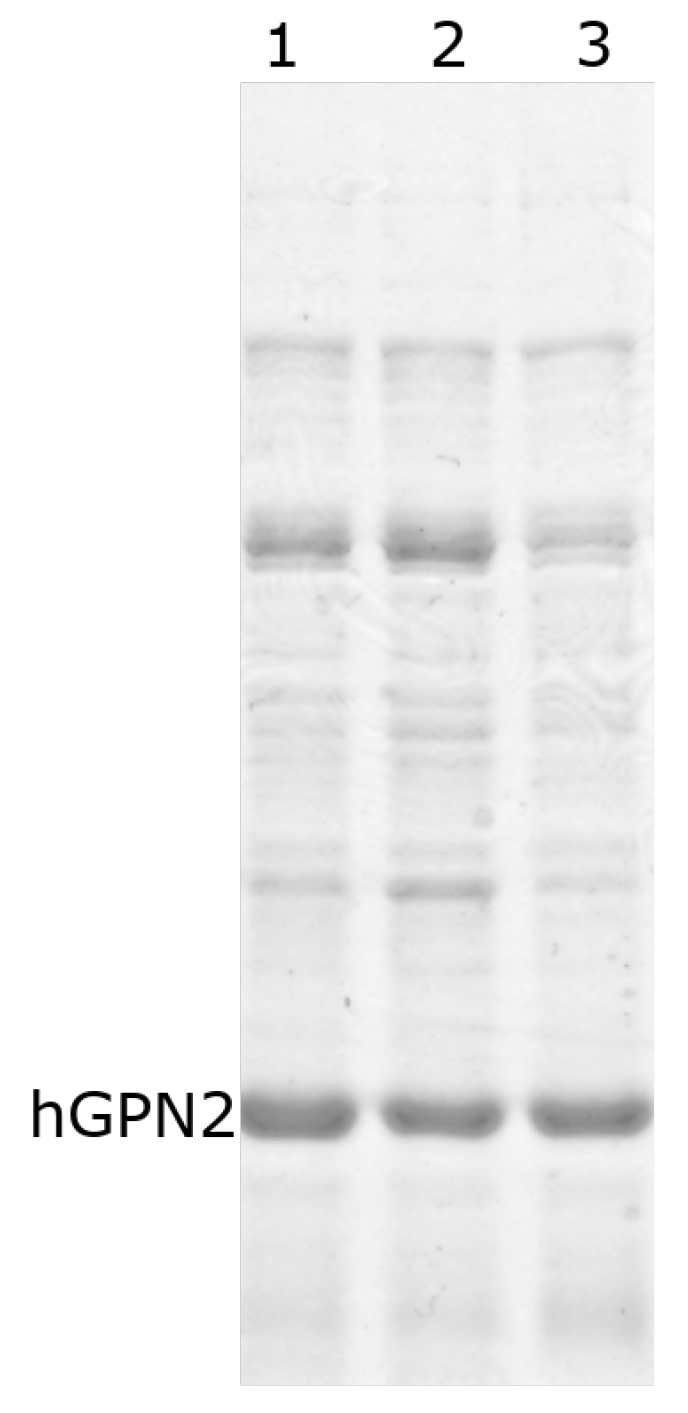 Separations 09 00164 g005