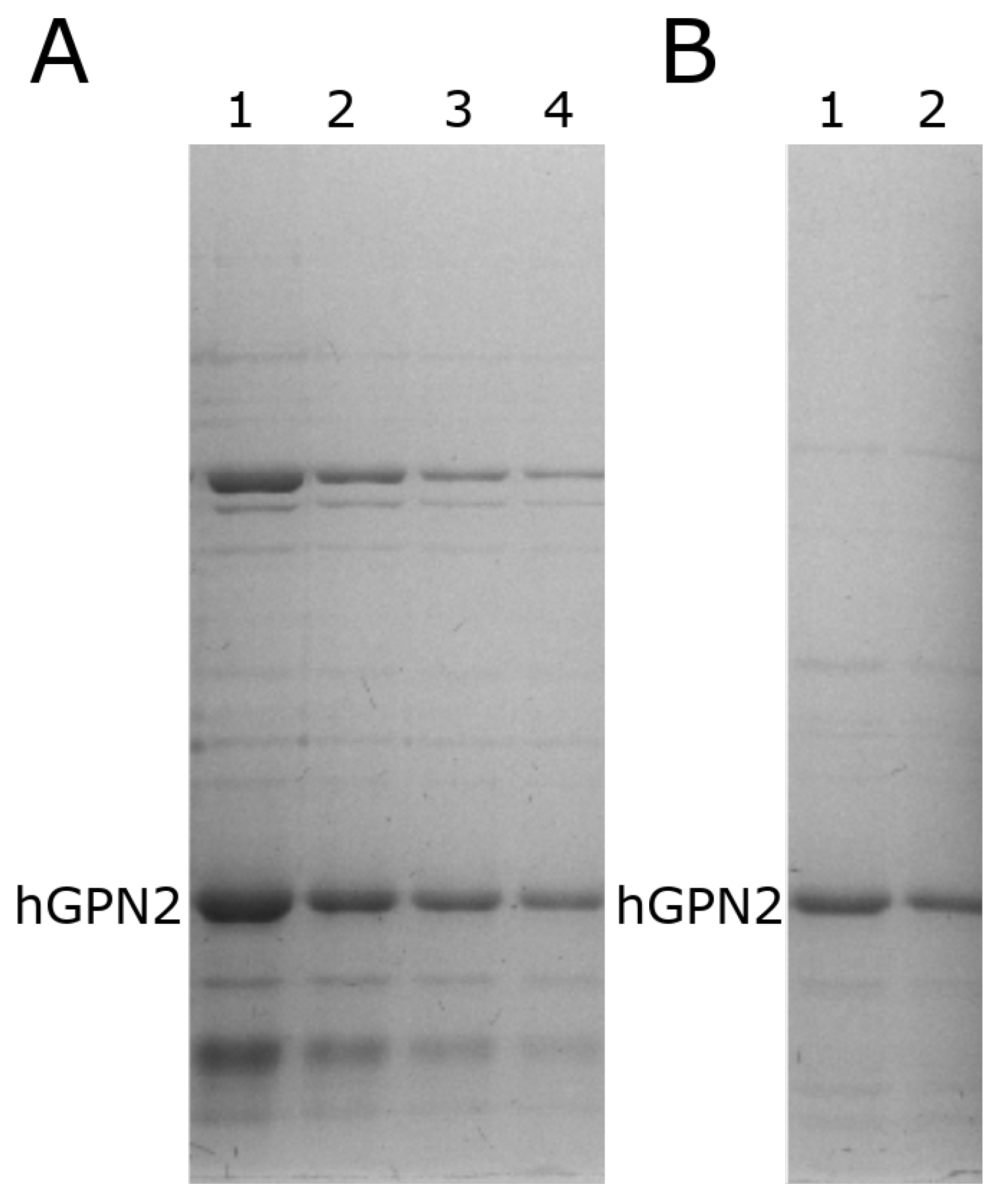 Separations 09 00164 g006