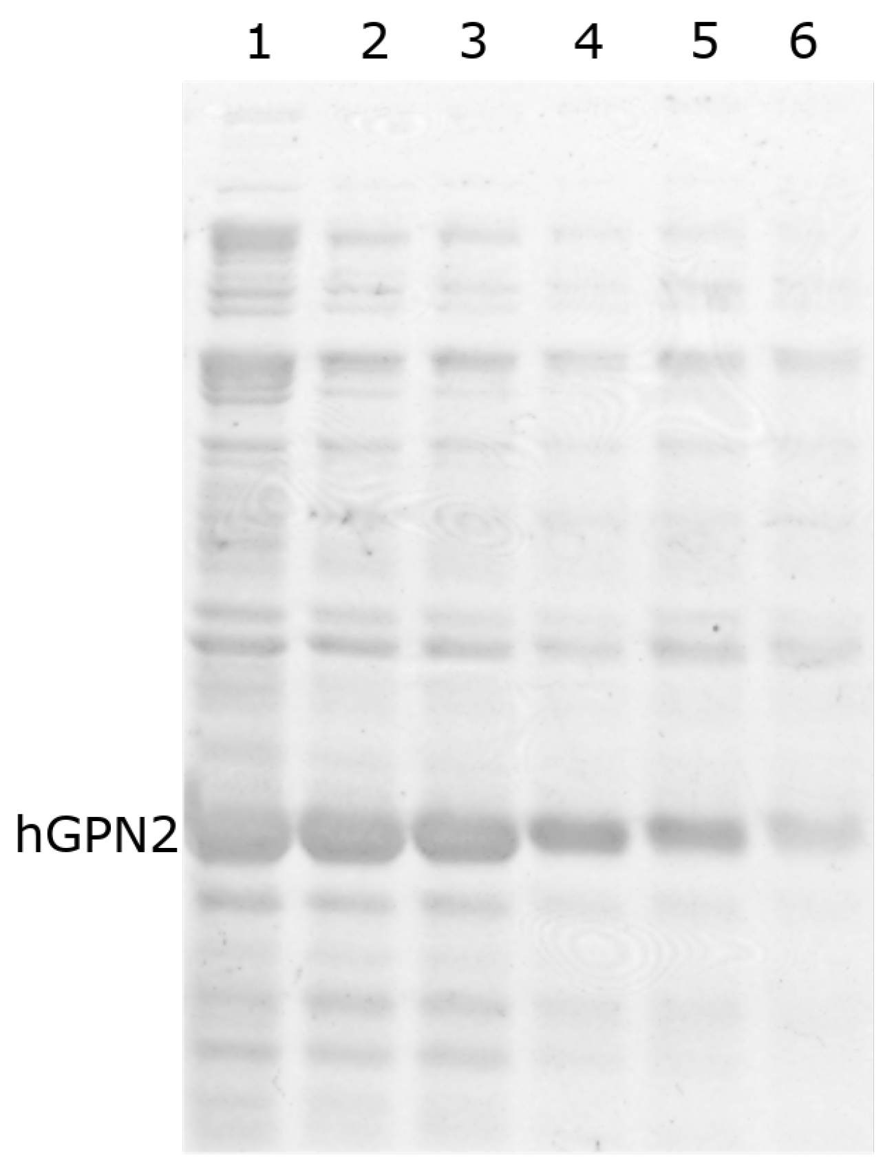 Separations 09 00164 g007