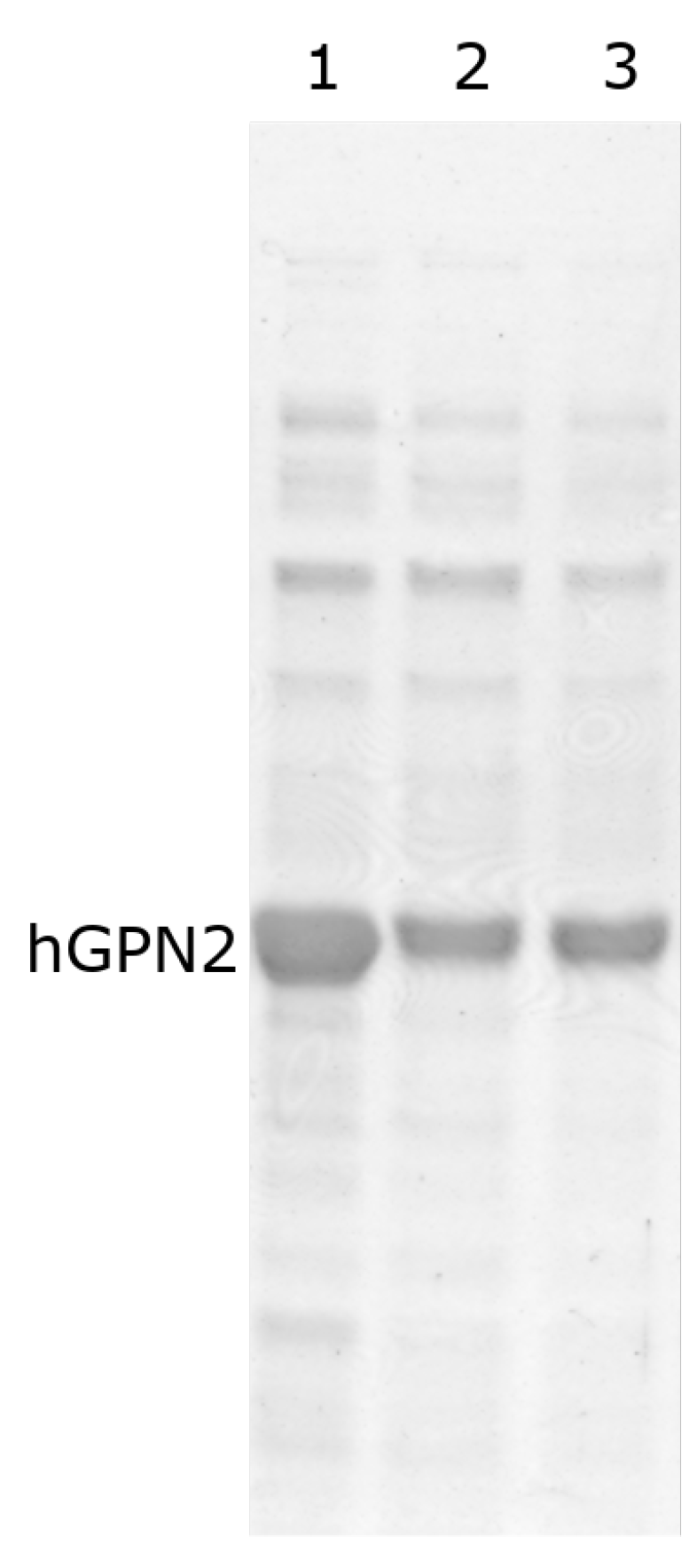 Separations 09 00164 g008