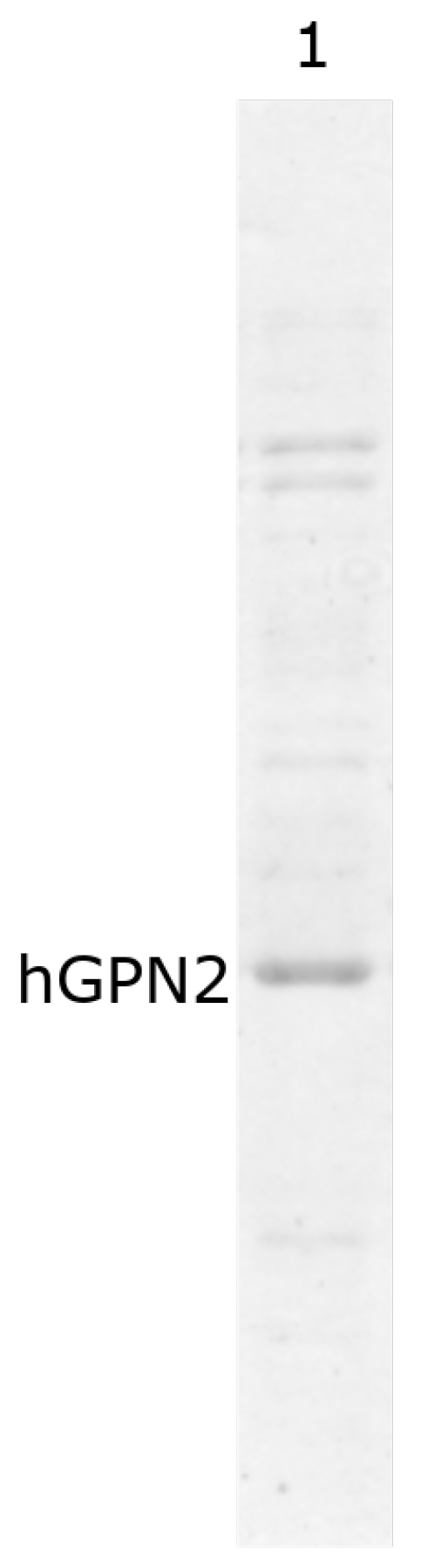 Separations 09 00164 g009