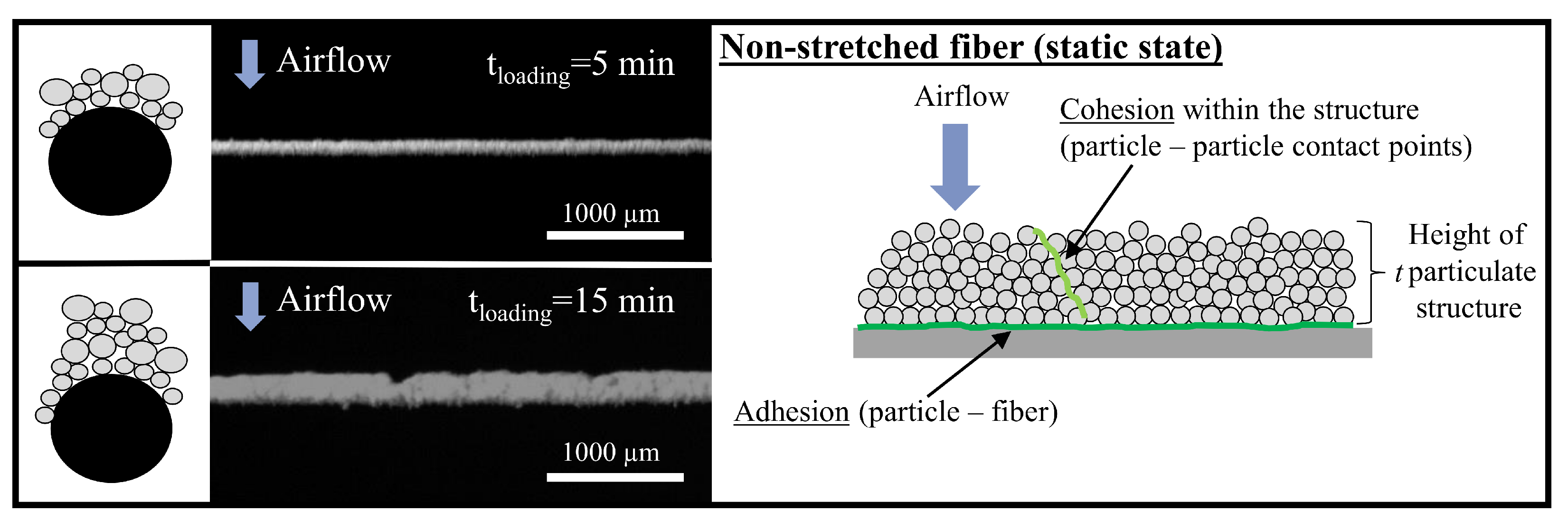 Separations 09 00168 g003