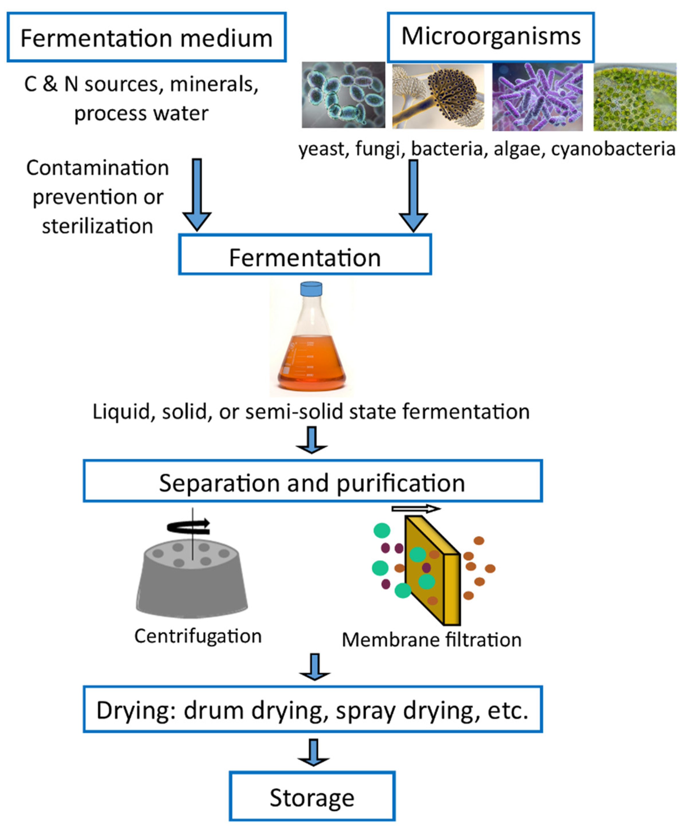 Separations 09 00178 g001