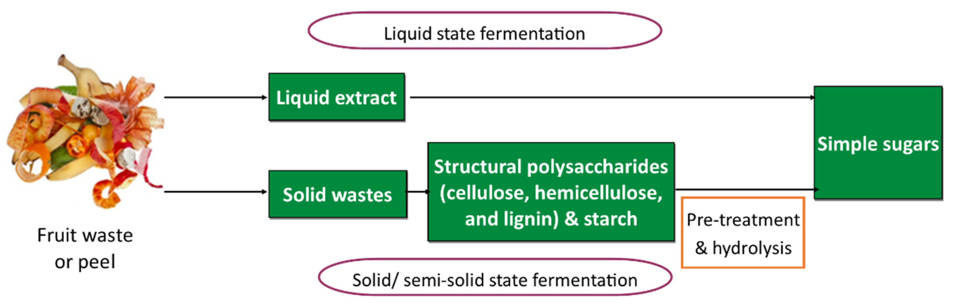 Separations 09 00178 g003