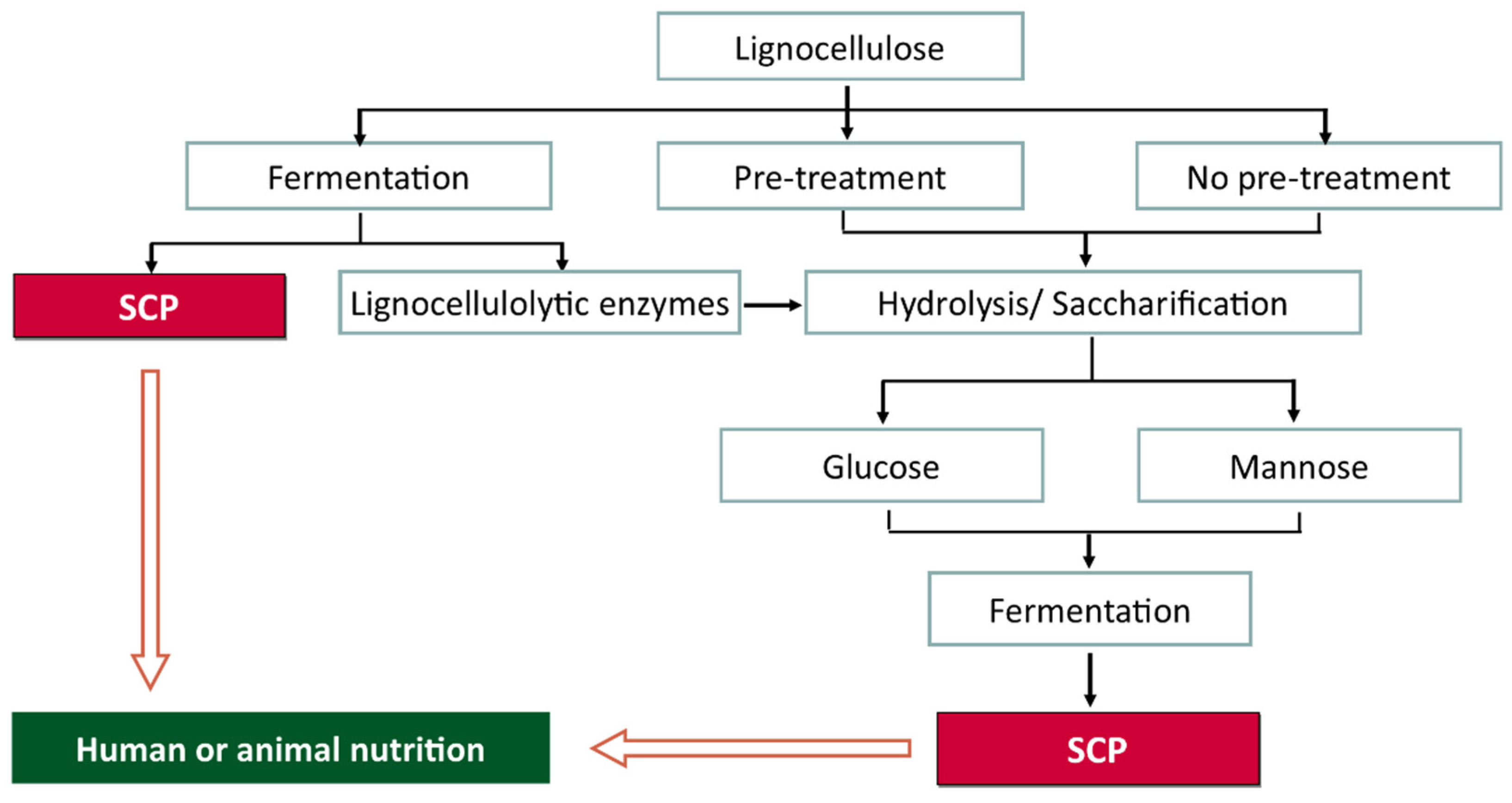 Separations 09 00178 g004