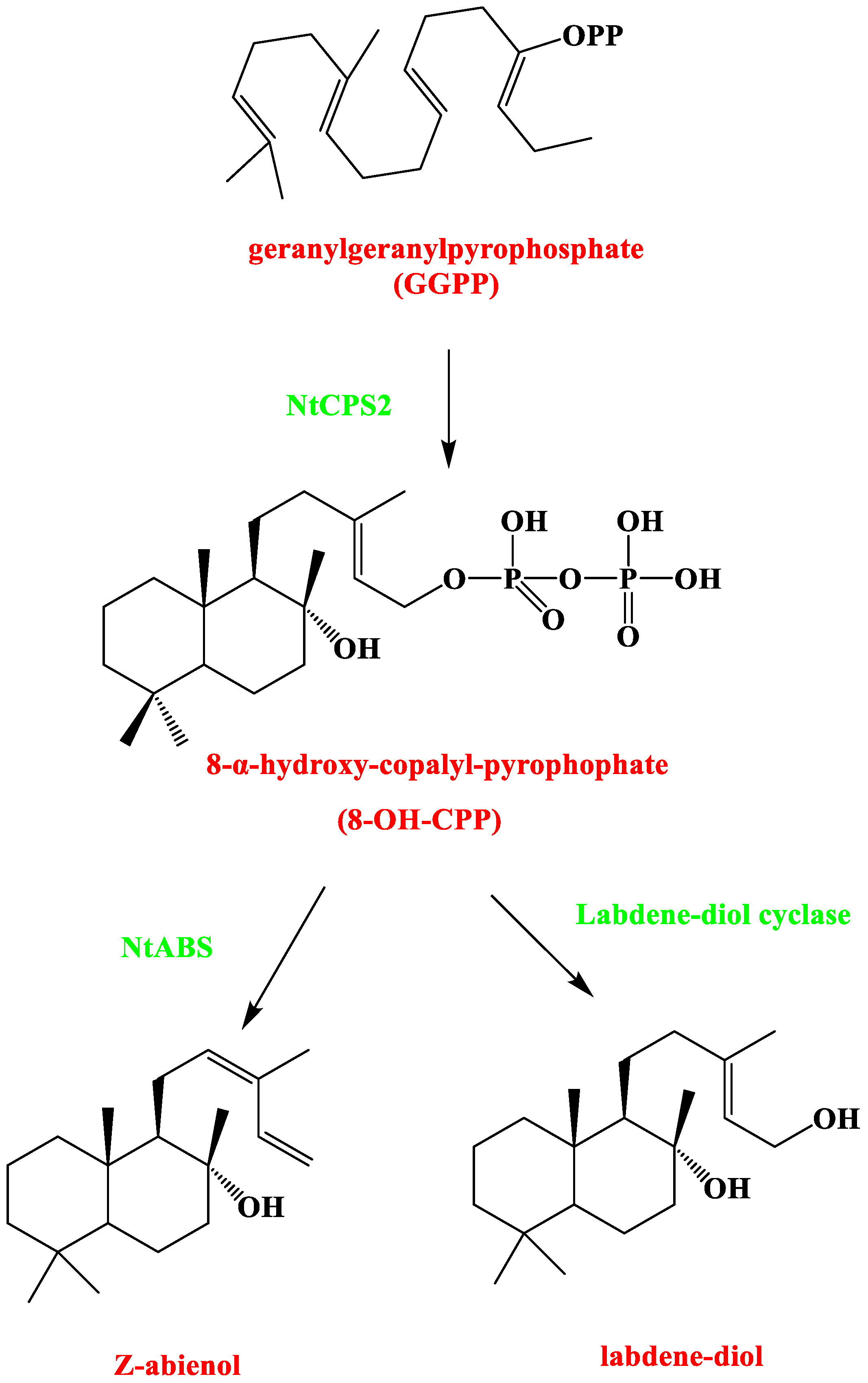 Separations 09 00187 g004