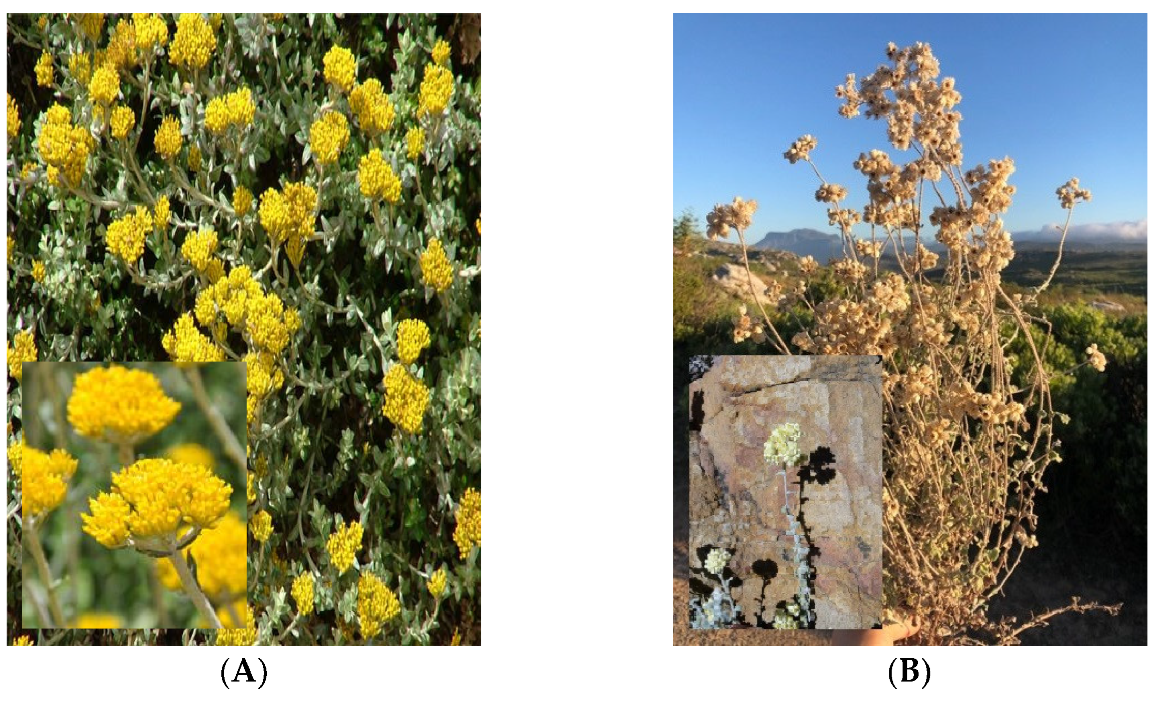 Separations 09 00190 g001