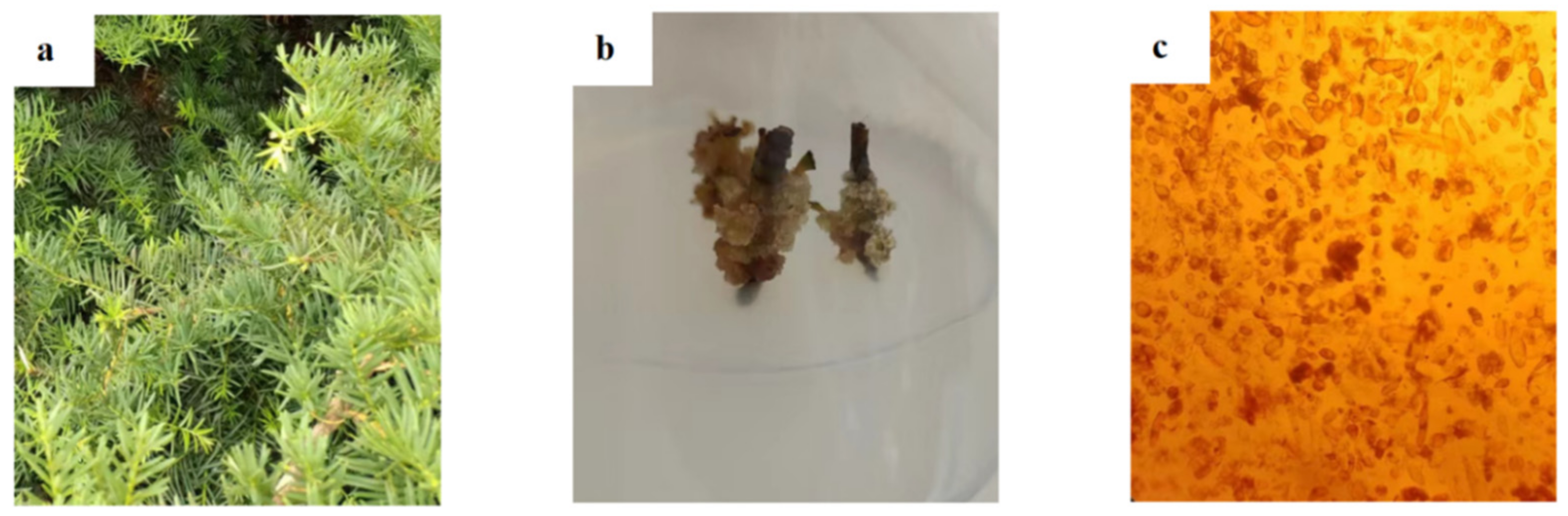 Separations 09 00193 g001