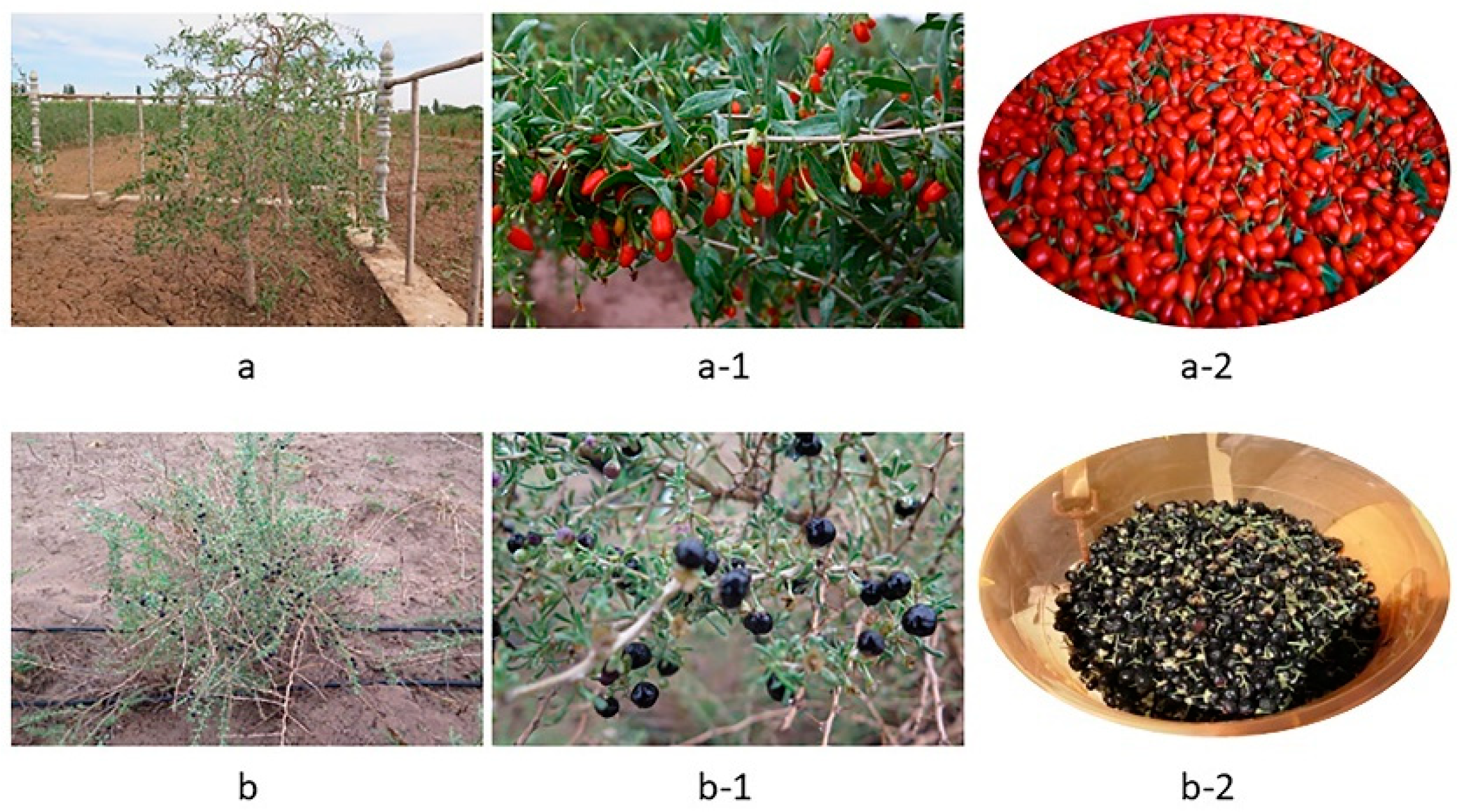 Separations 09 00197 g001