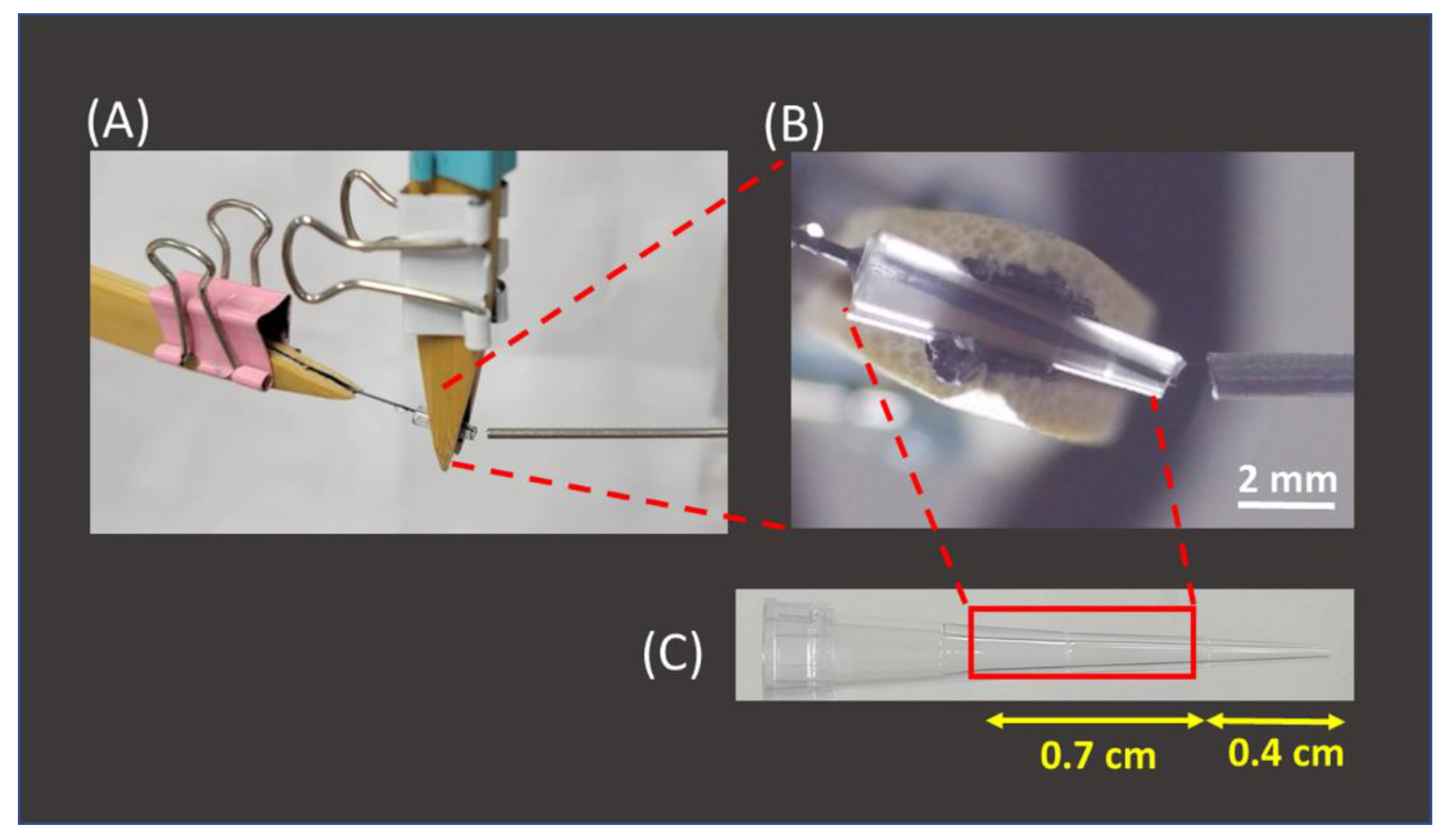 Separations 09 00199 g004
