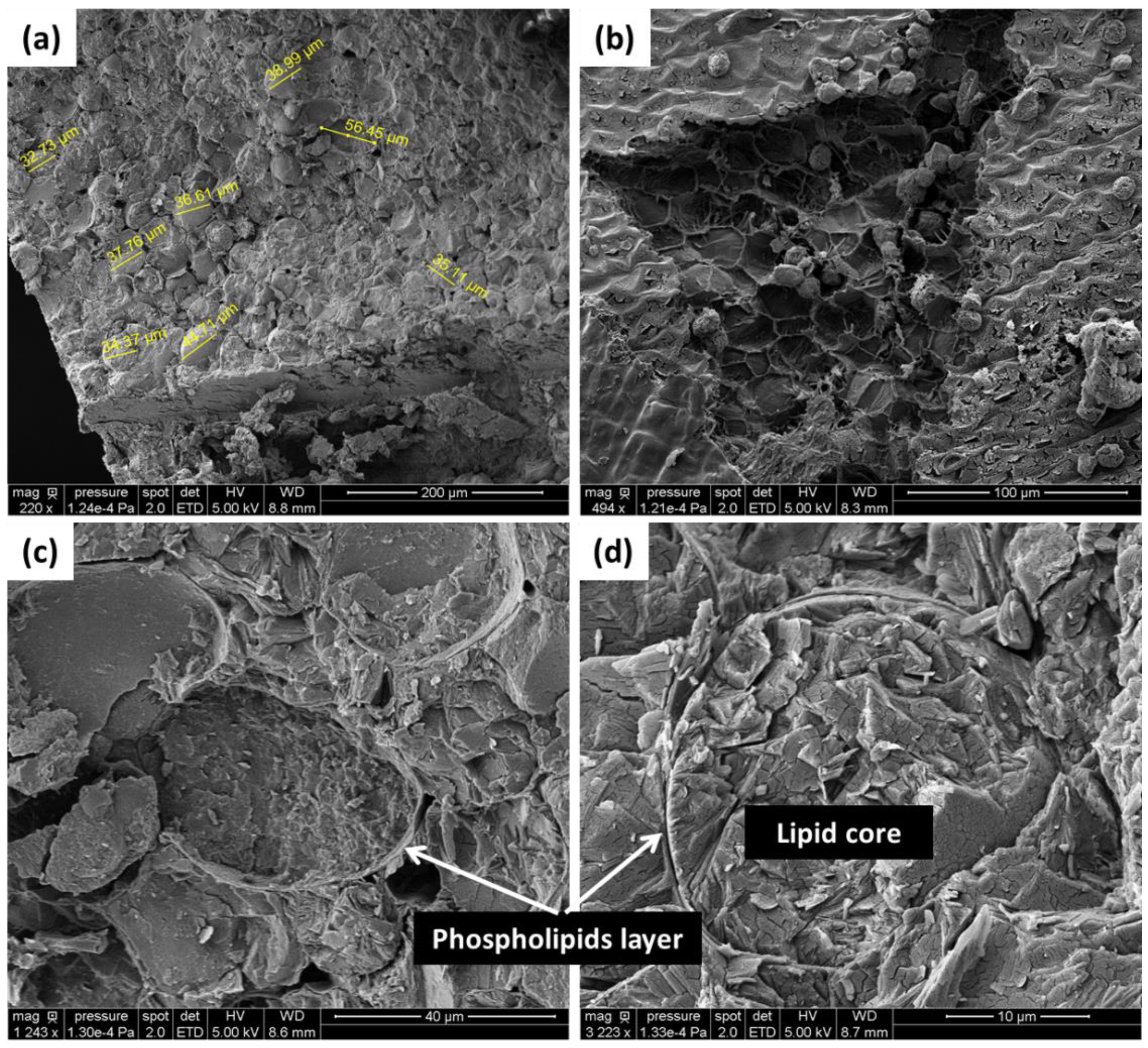 Separations 09 00207 g002