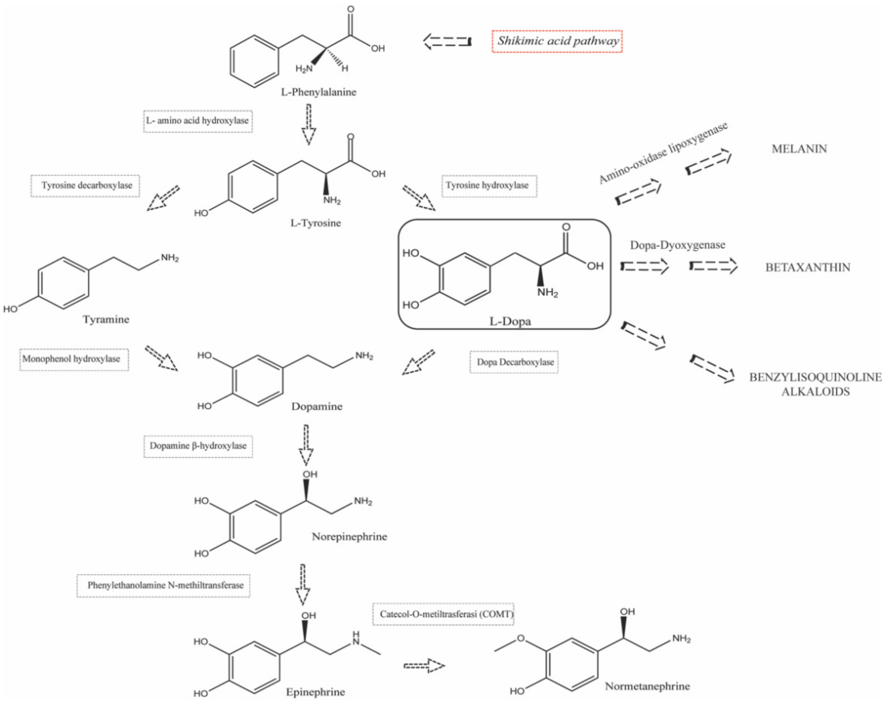 Separations 09 00224 g004