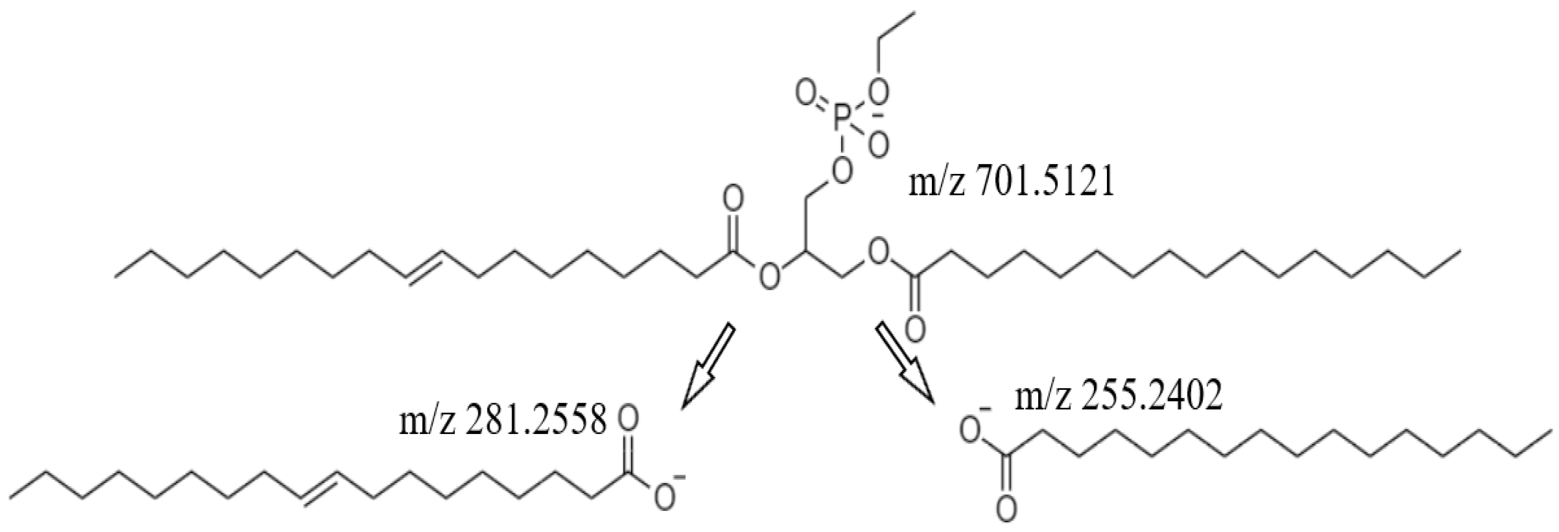 Separations 09 00250 g001