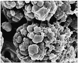 Separations 09 00266 i002