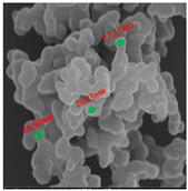 Separations 09 00266 i006