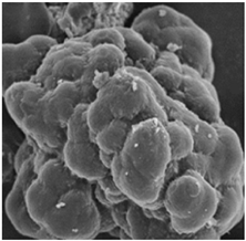 Separations 09 00266 i008