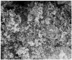 Separations 09 00266 i011