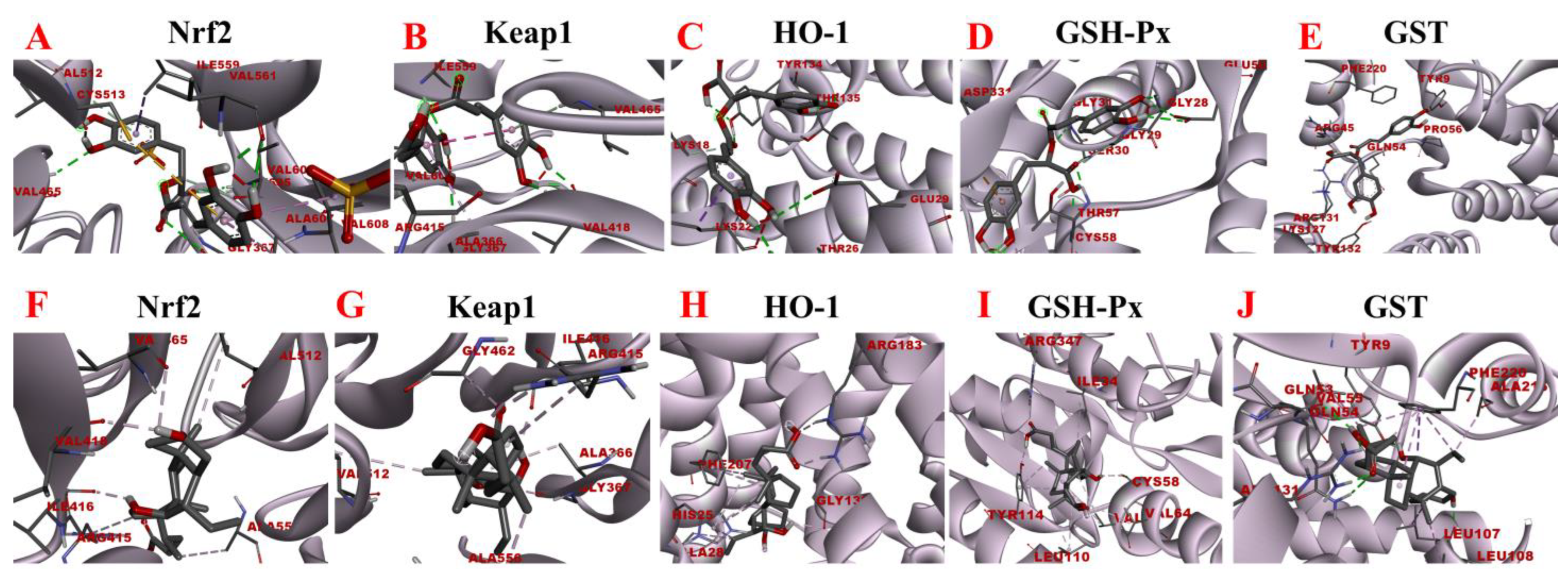 Separations 09 00273 g011