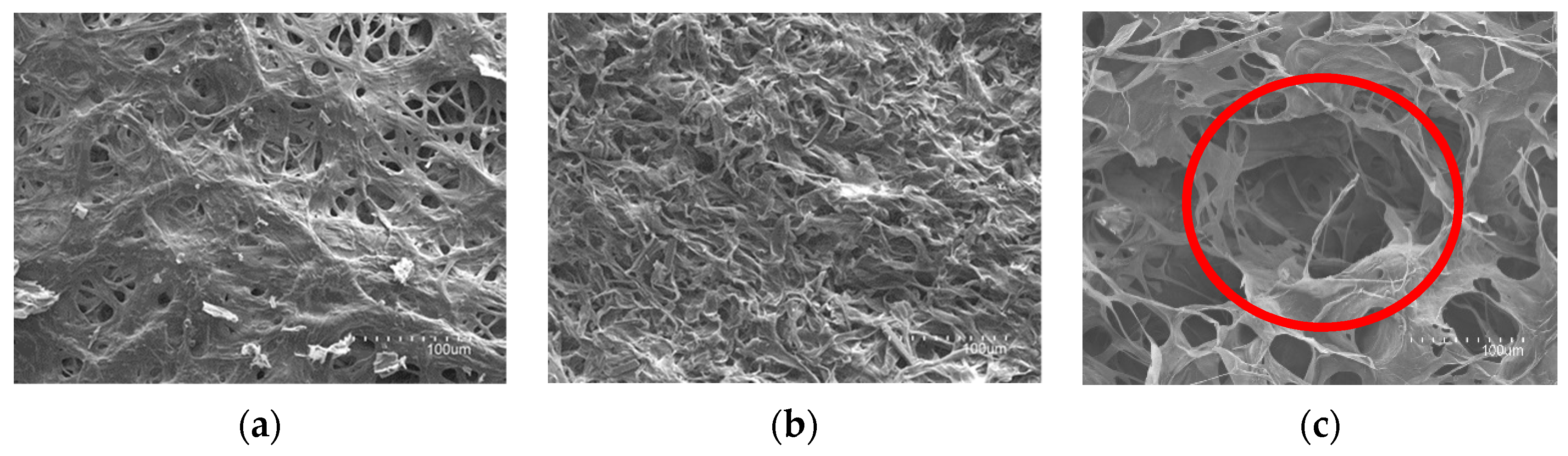 Separations 09 00302 g009