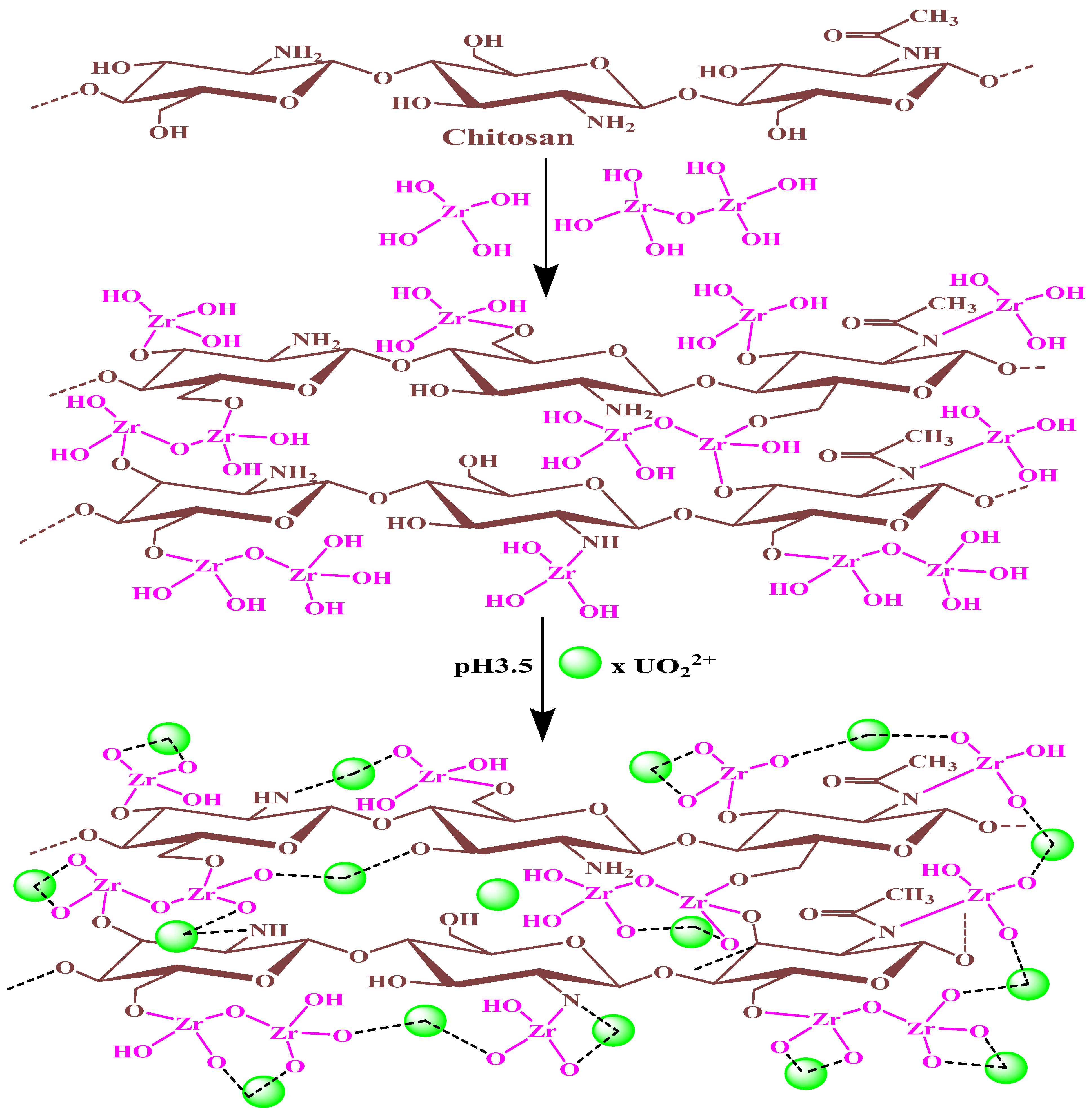 Separations 09 00311 g010