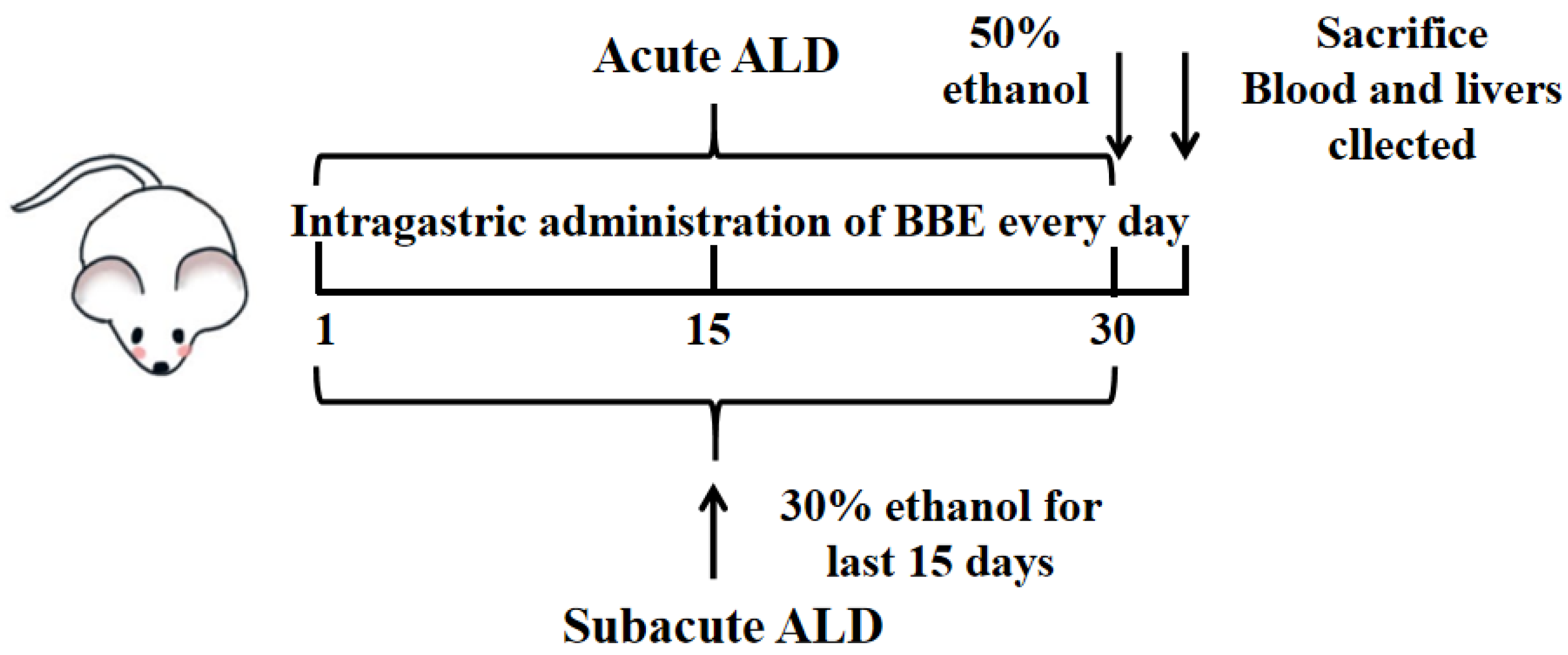 Separations 09 00321 g001
