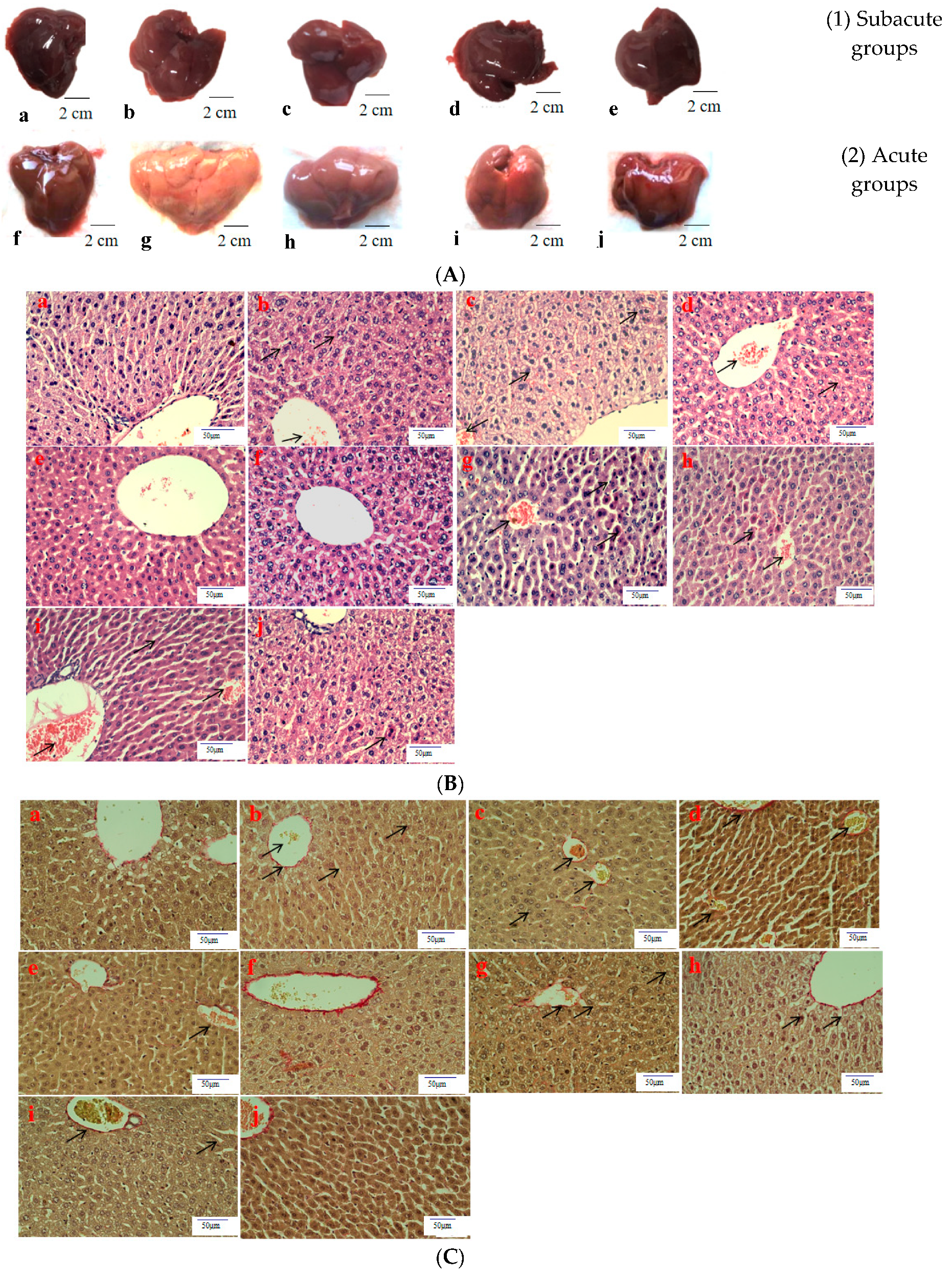 Separations 09 00321 g002a