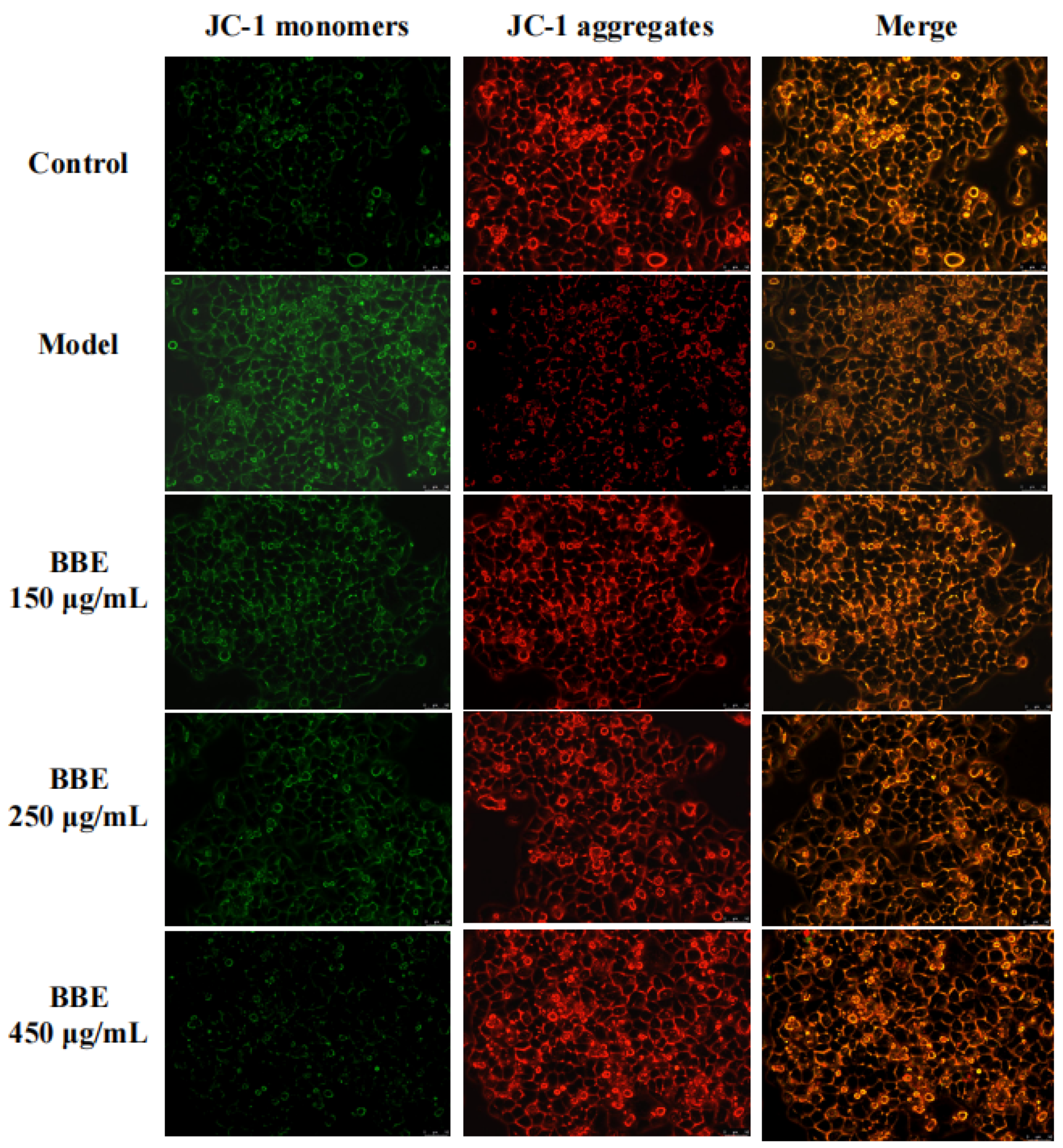 Separations 09 00321 g006