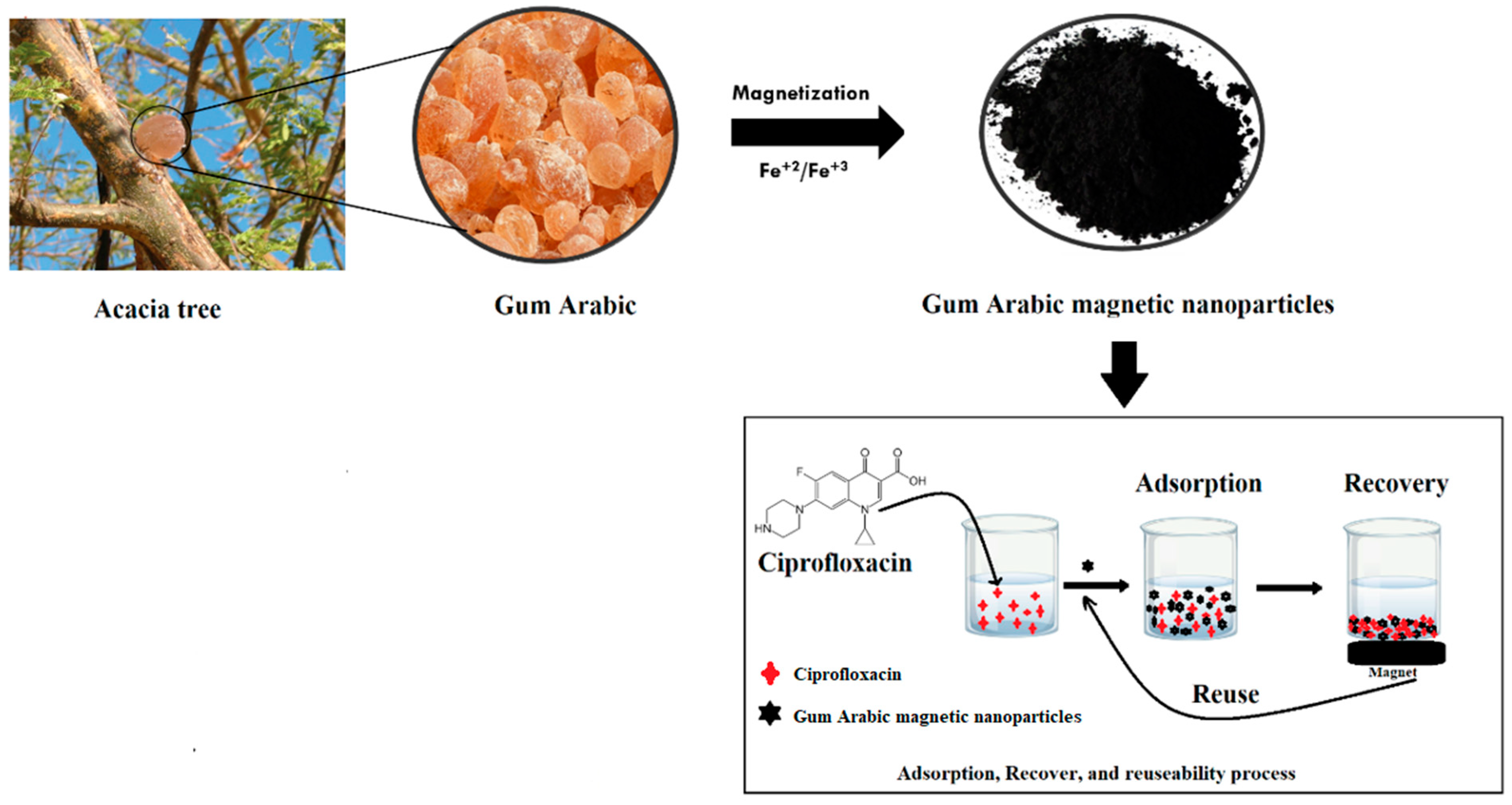 Separations 09 00322 g001