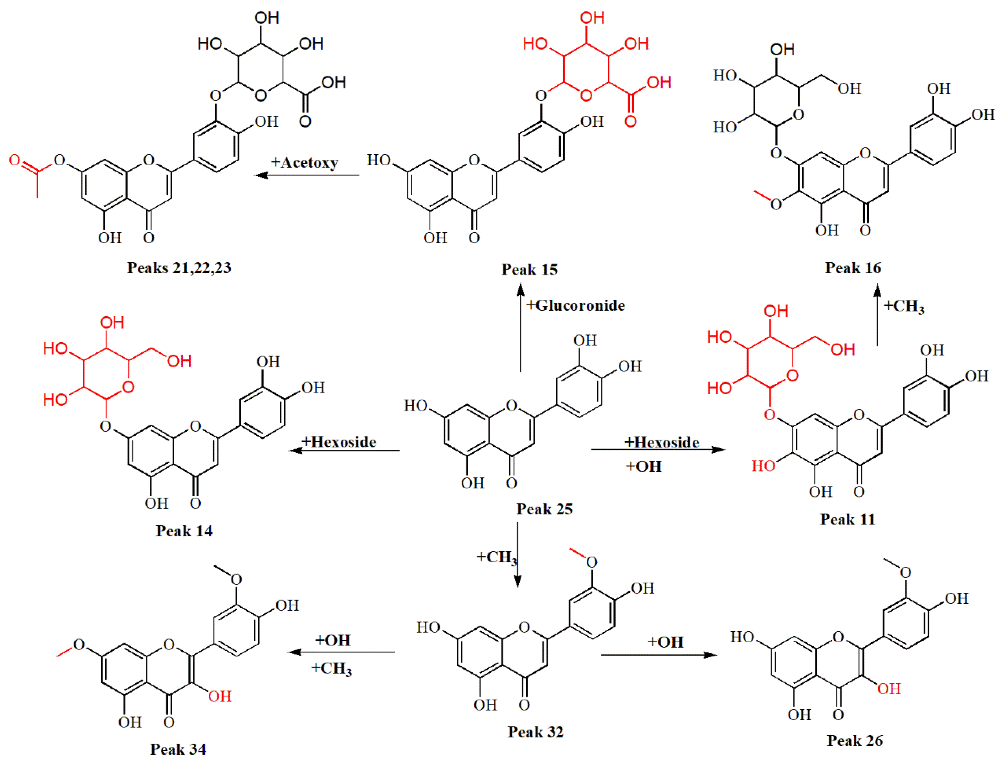 Separations 09 00327 g002