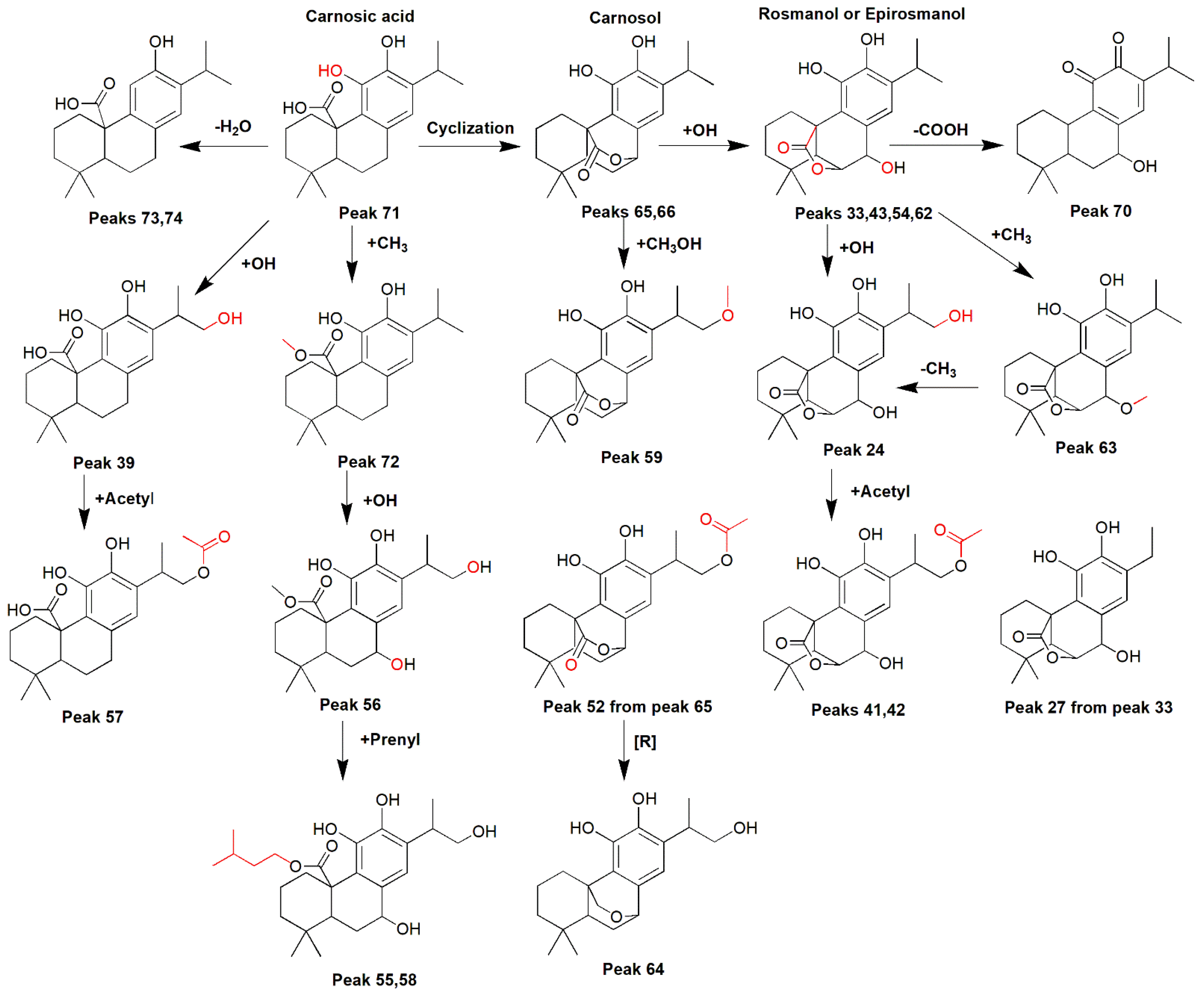 Separations 09 00327 g003
