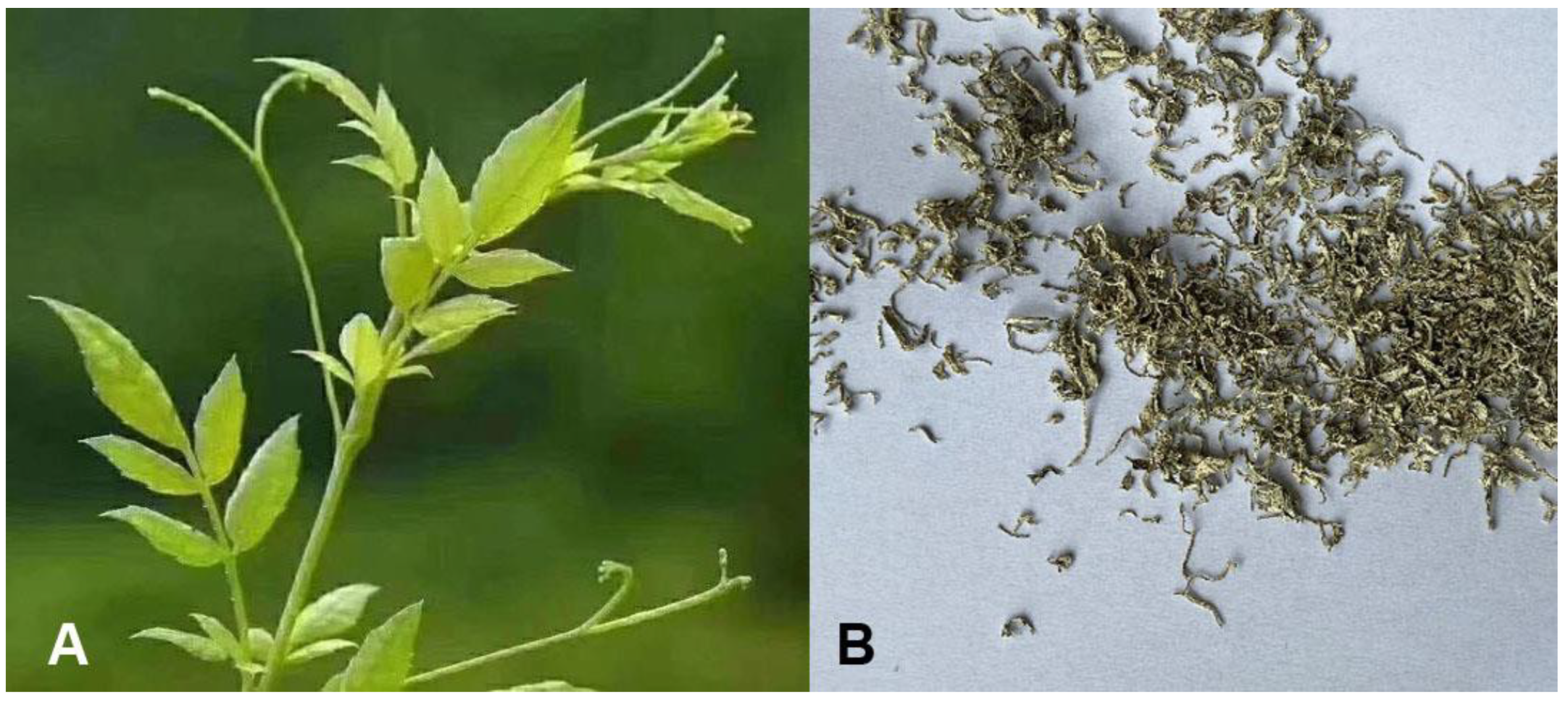 Separations 09 00329 g001