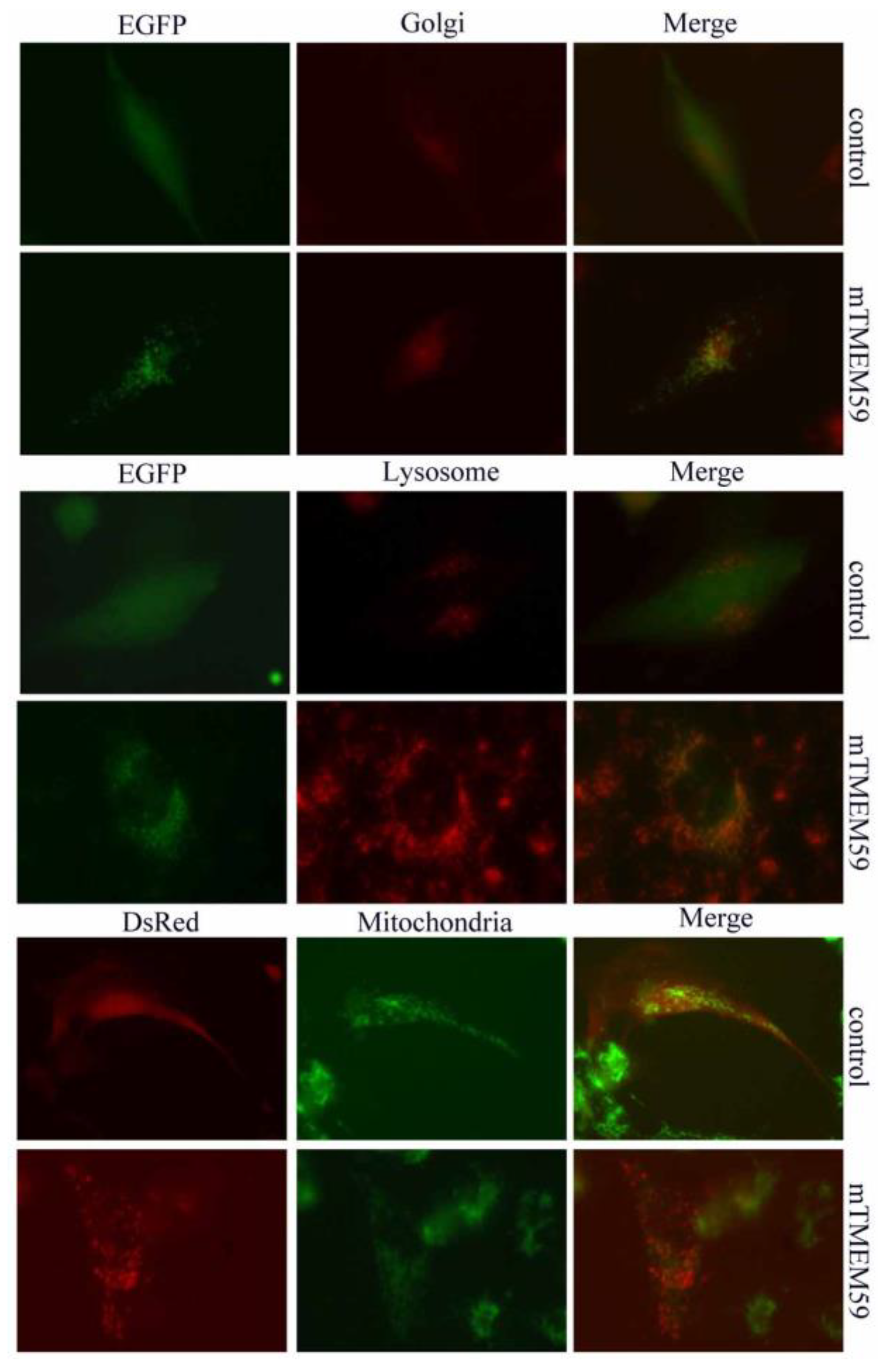 Separations 09 00341 g004