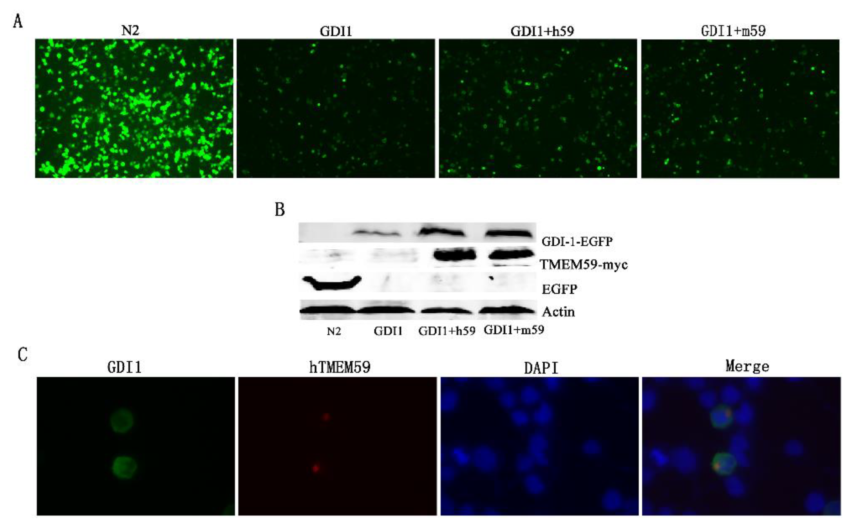 Separations 09 00341 g007