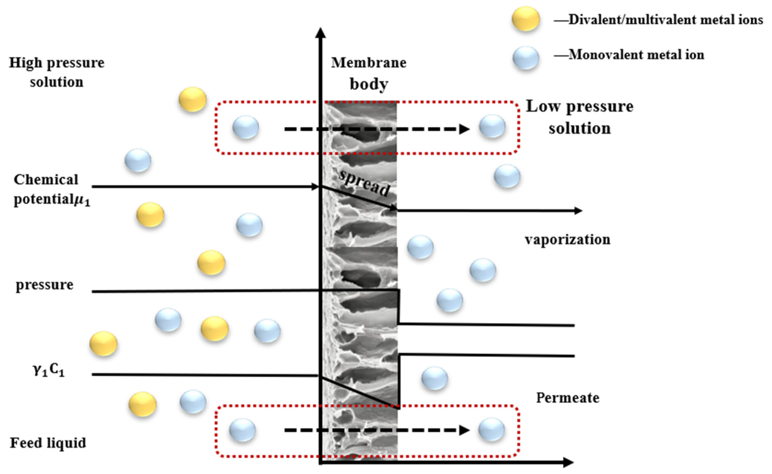 Separations 09 00344 g005