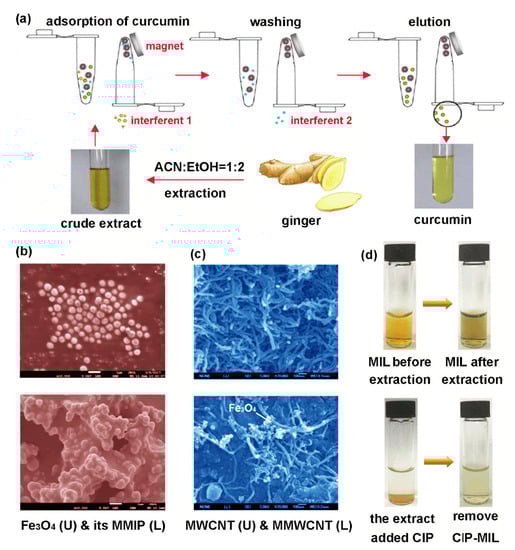 Separations 09 00346 g004