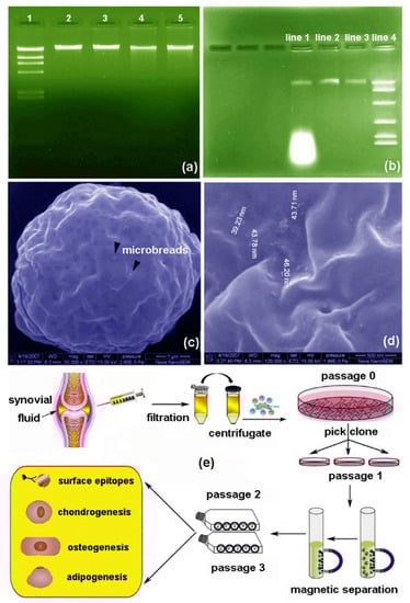Separations 09 00346 g005