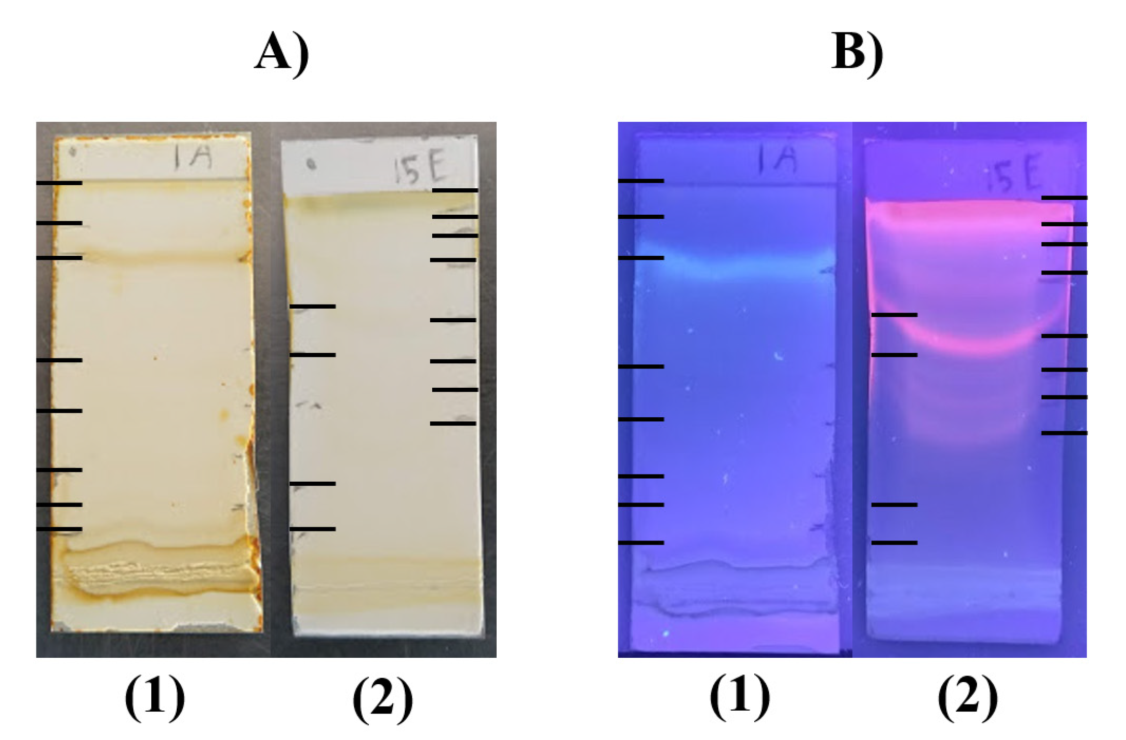 Separations 09 00359 g001